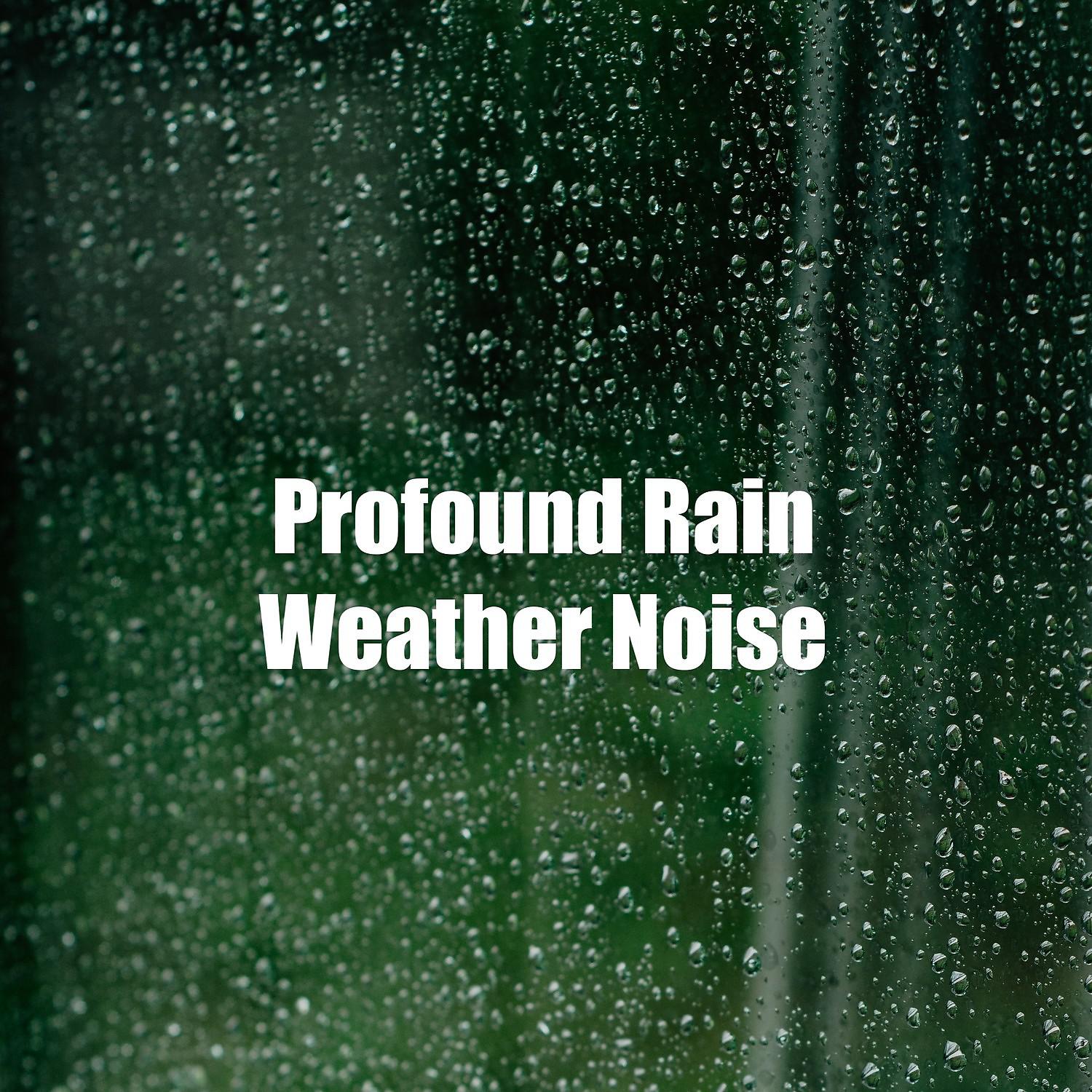 Постер альбома Profound Rain Weather Noise