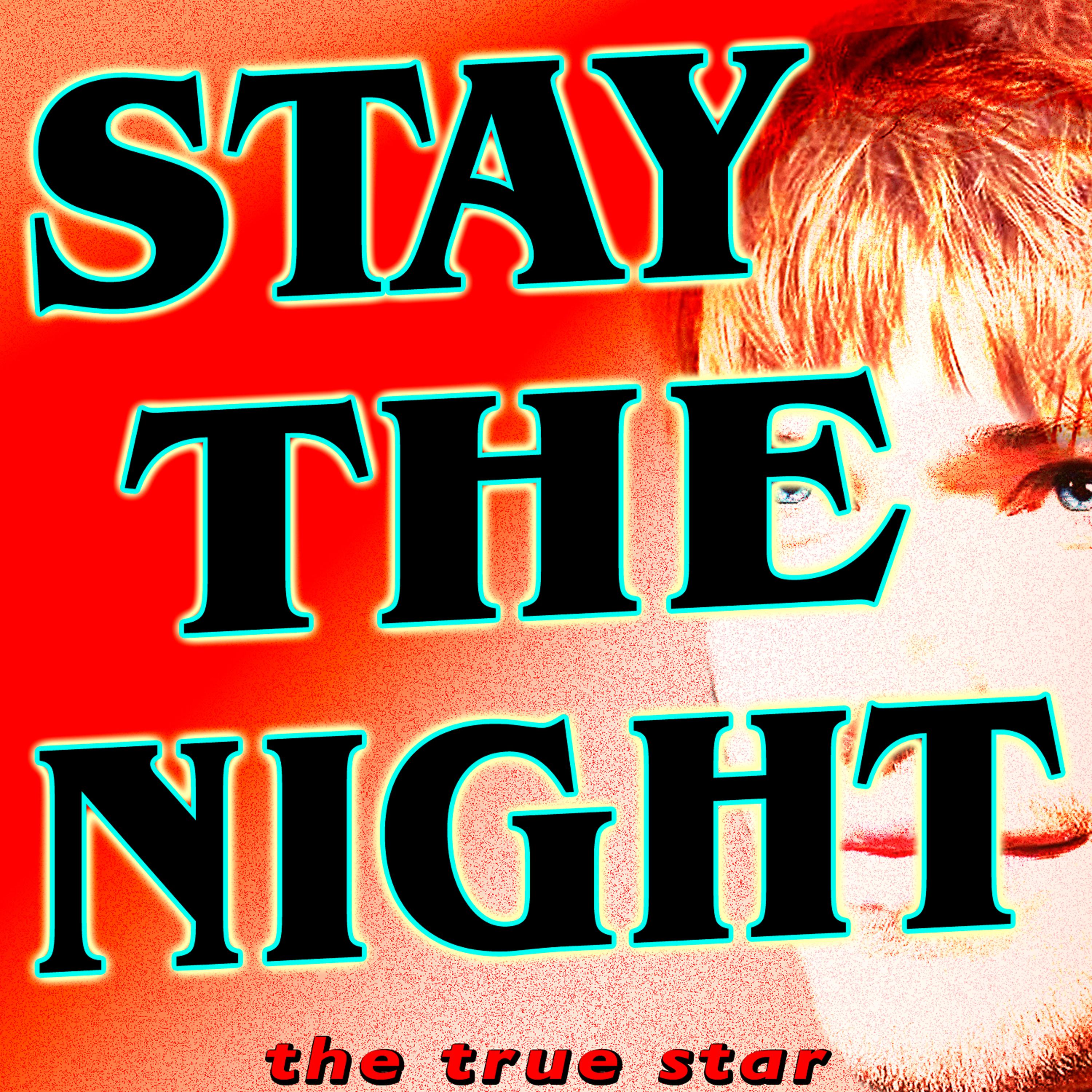 Постер альбома Stay The Night (James Blunt Tribute)