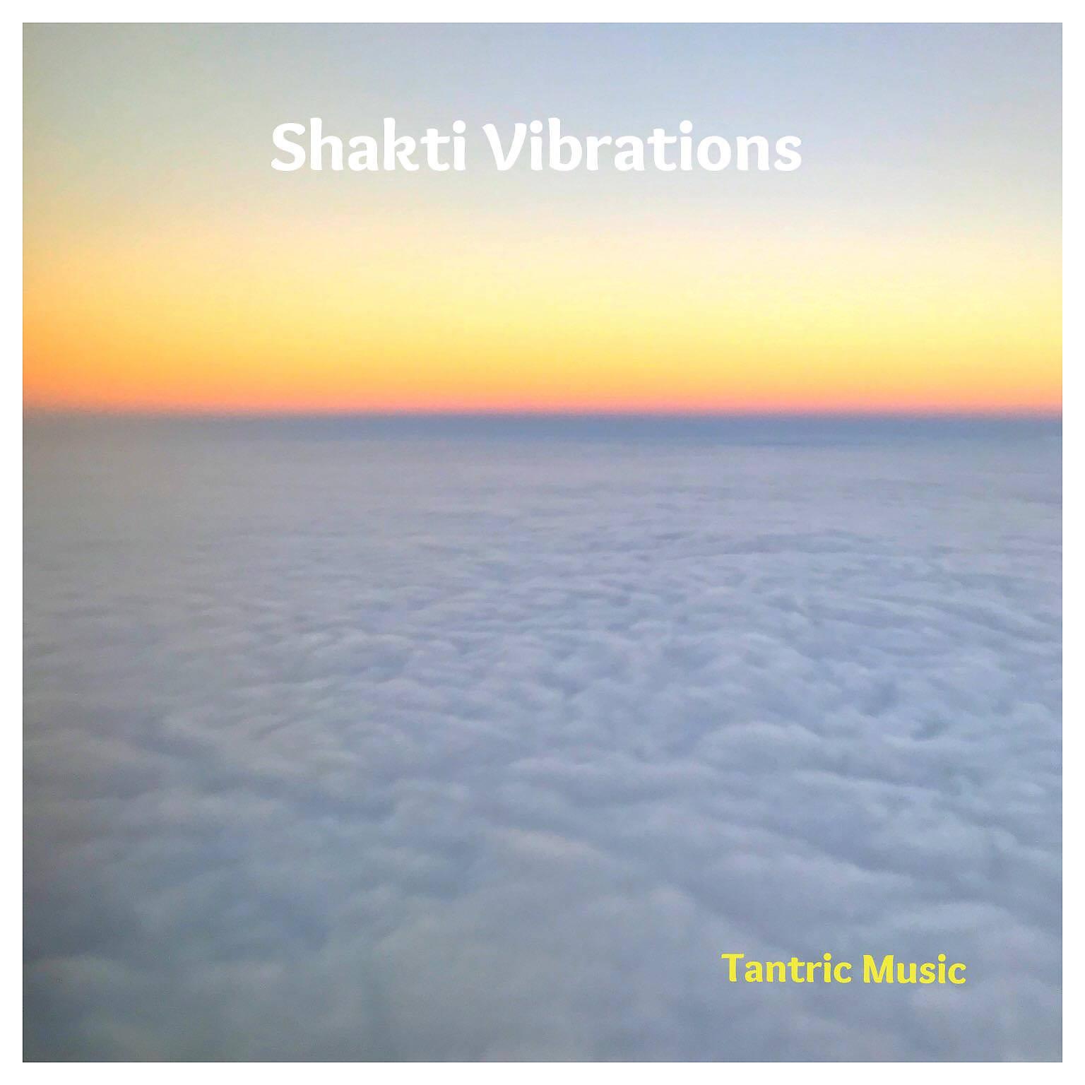 Постер альбома Shakti Vibrations