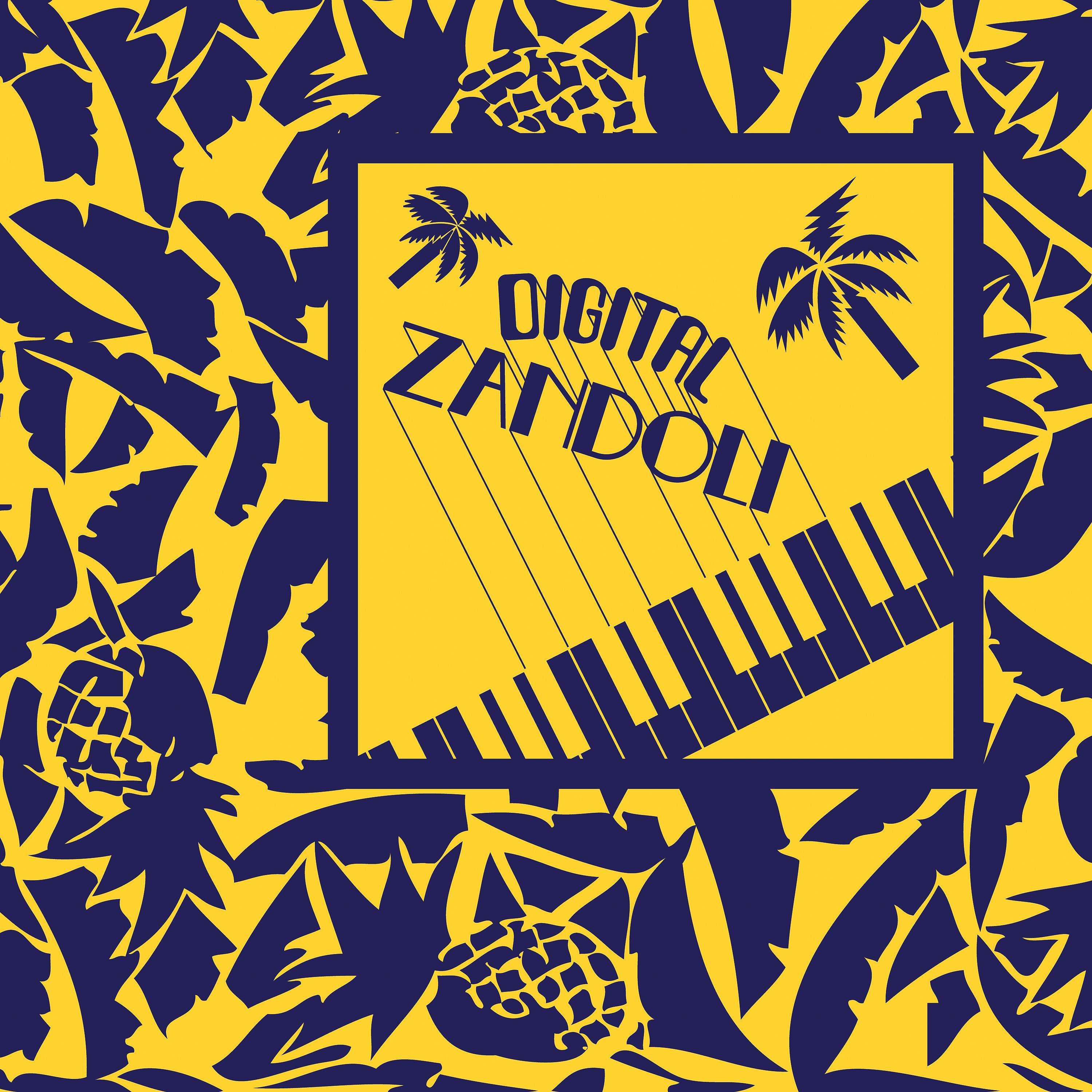 Постер альбома Digital Zandoli