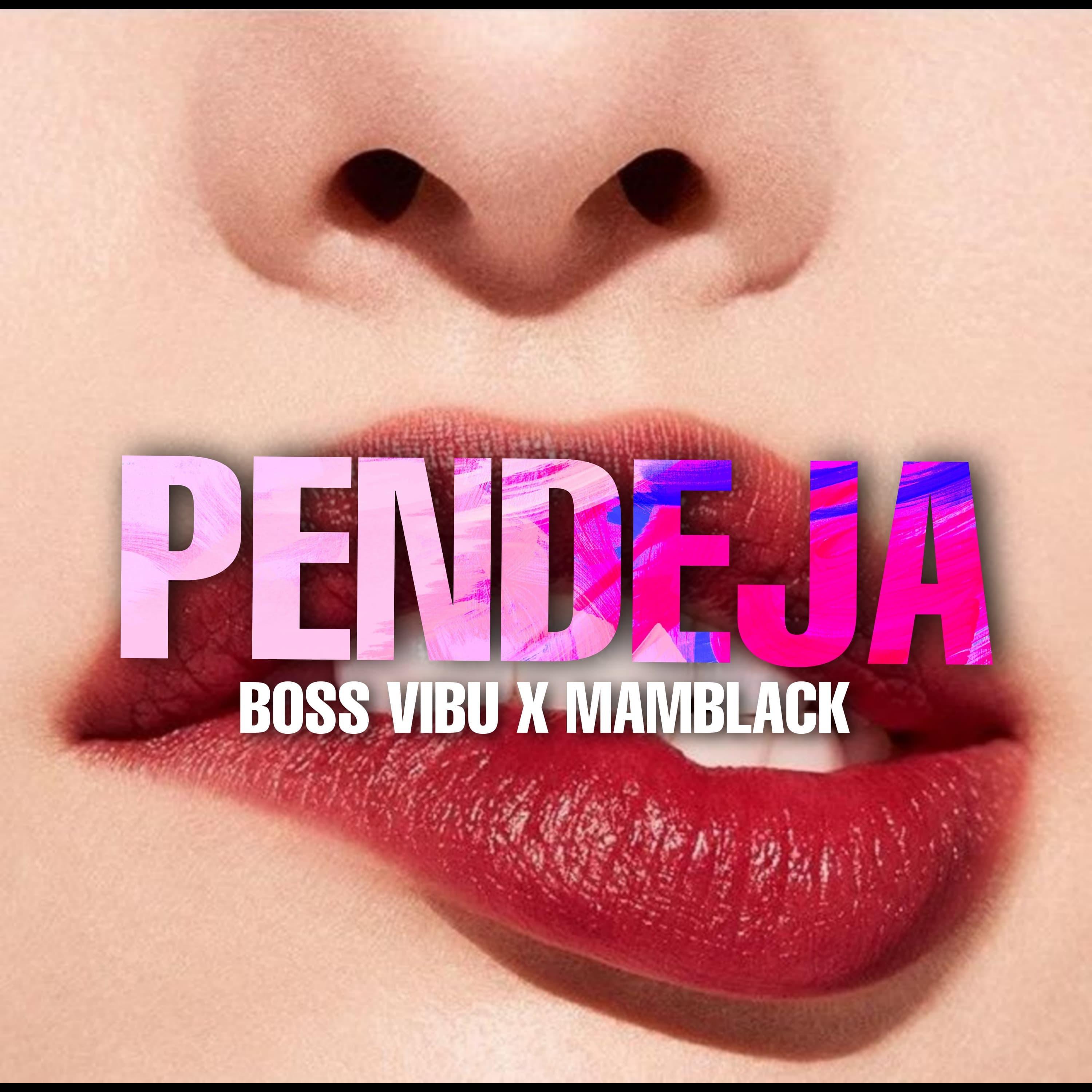 Постер альбома Pendeja