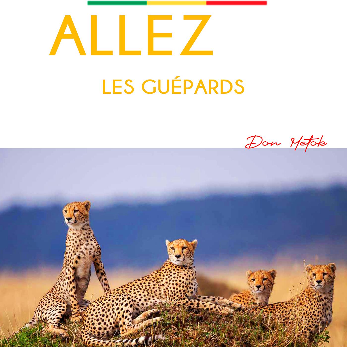 Постер альбома ALLEZ LES GUEPARDS