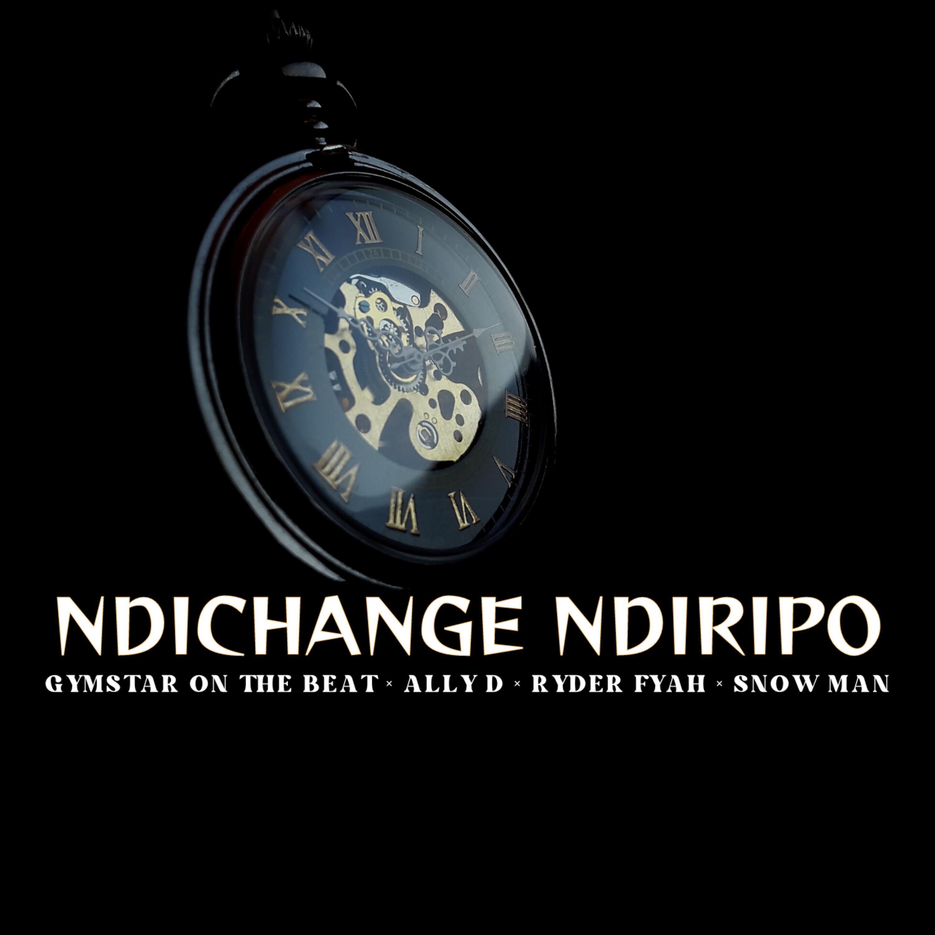Постер альбома Ndichange Ndiripo