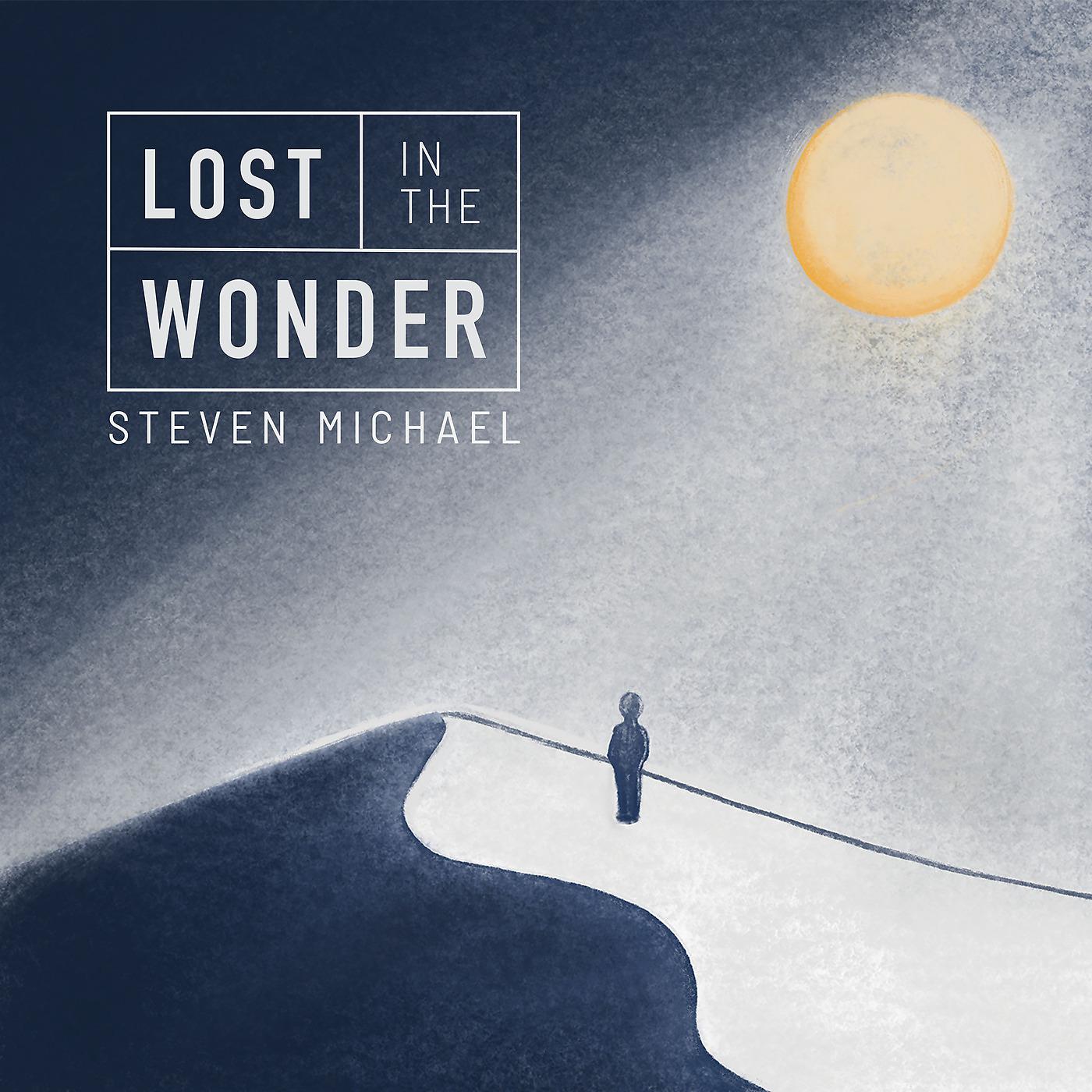 Постер альбома Lost in the Wonder