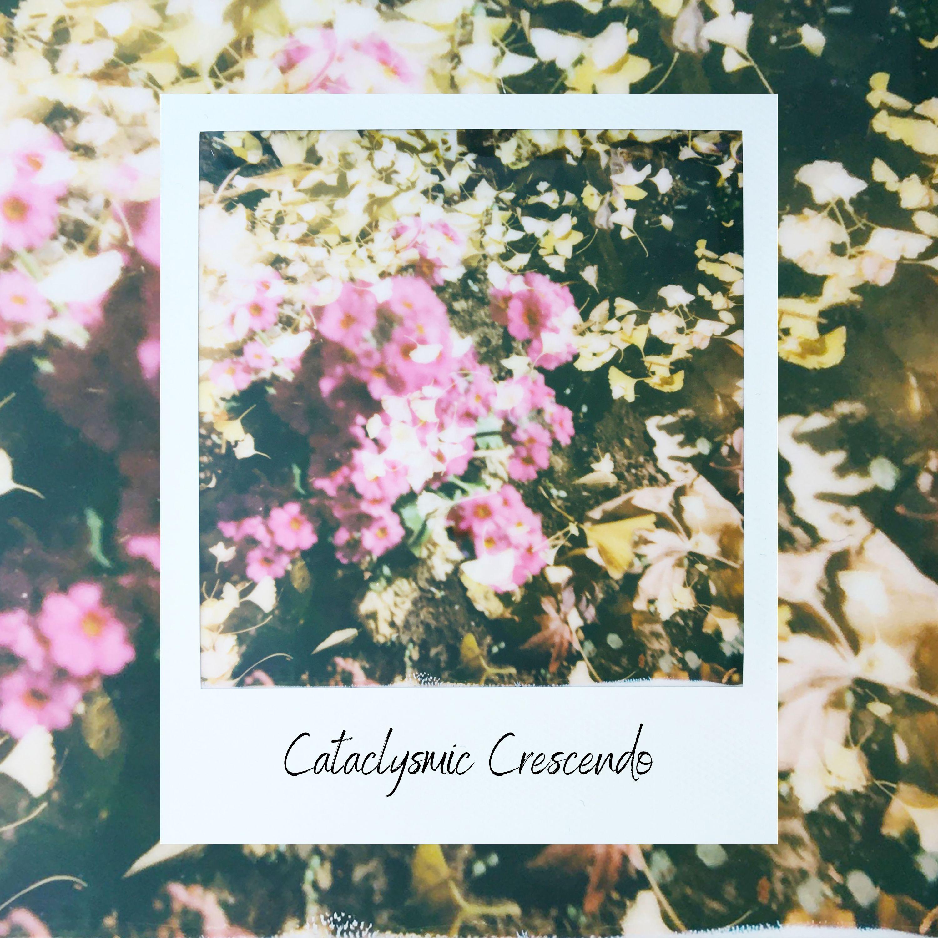 Постер альбома Cataclysmic Crescendo