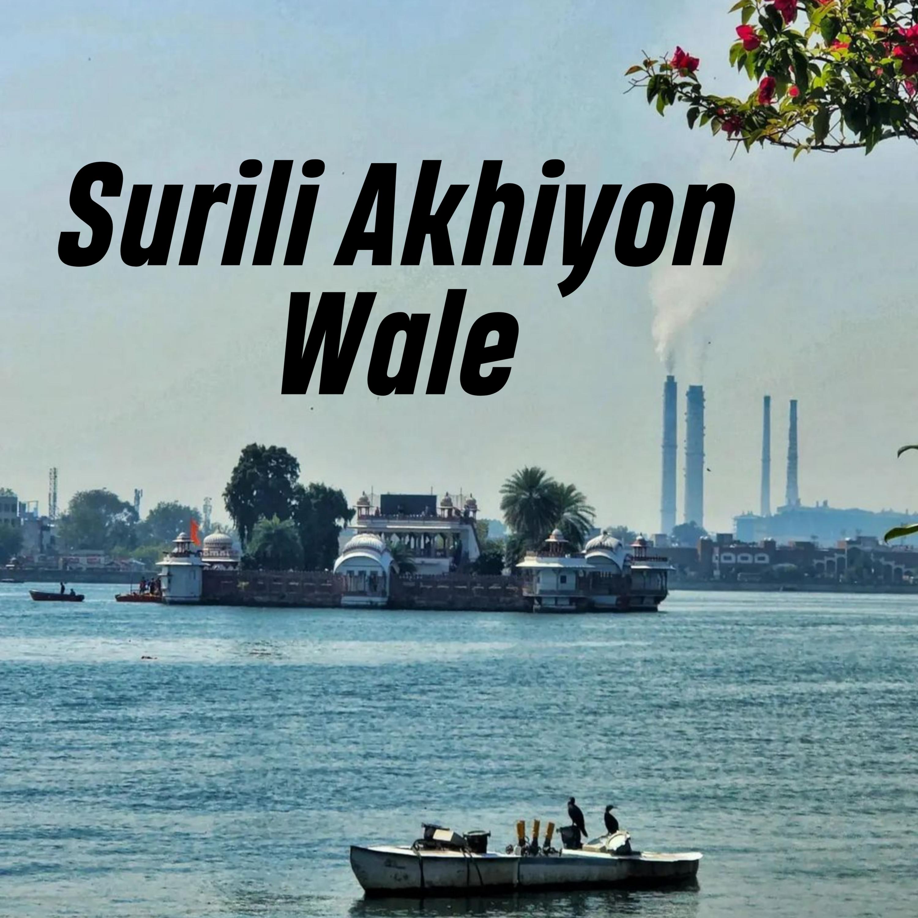 Постер альбома Surili Akhiyon Wale