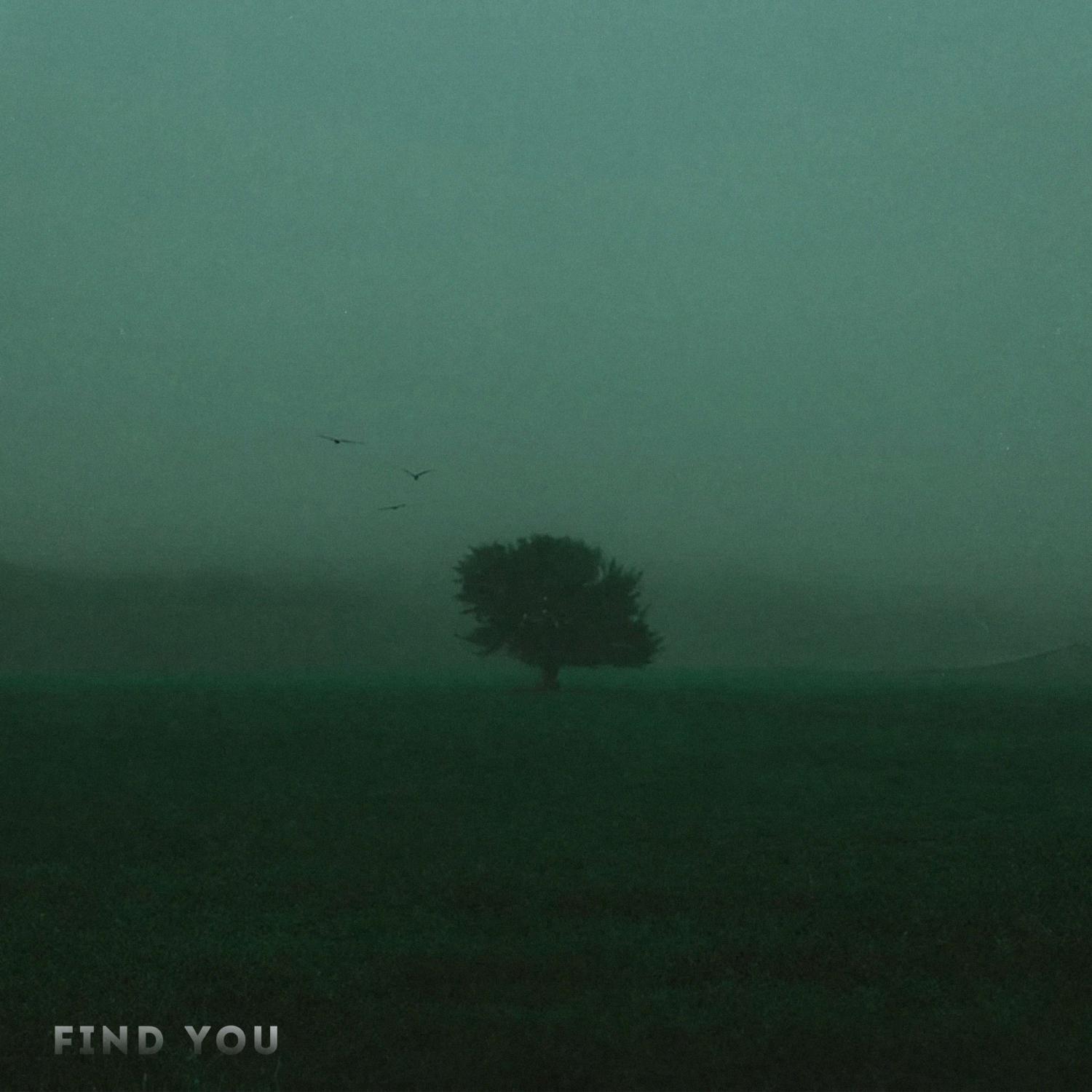 Постер альбома Find You.