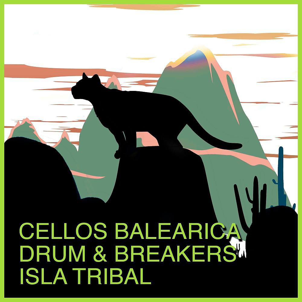 Постер альбома Isla Tribal