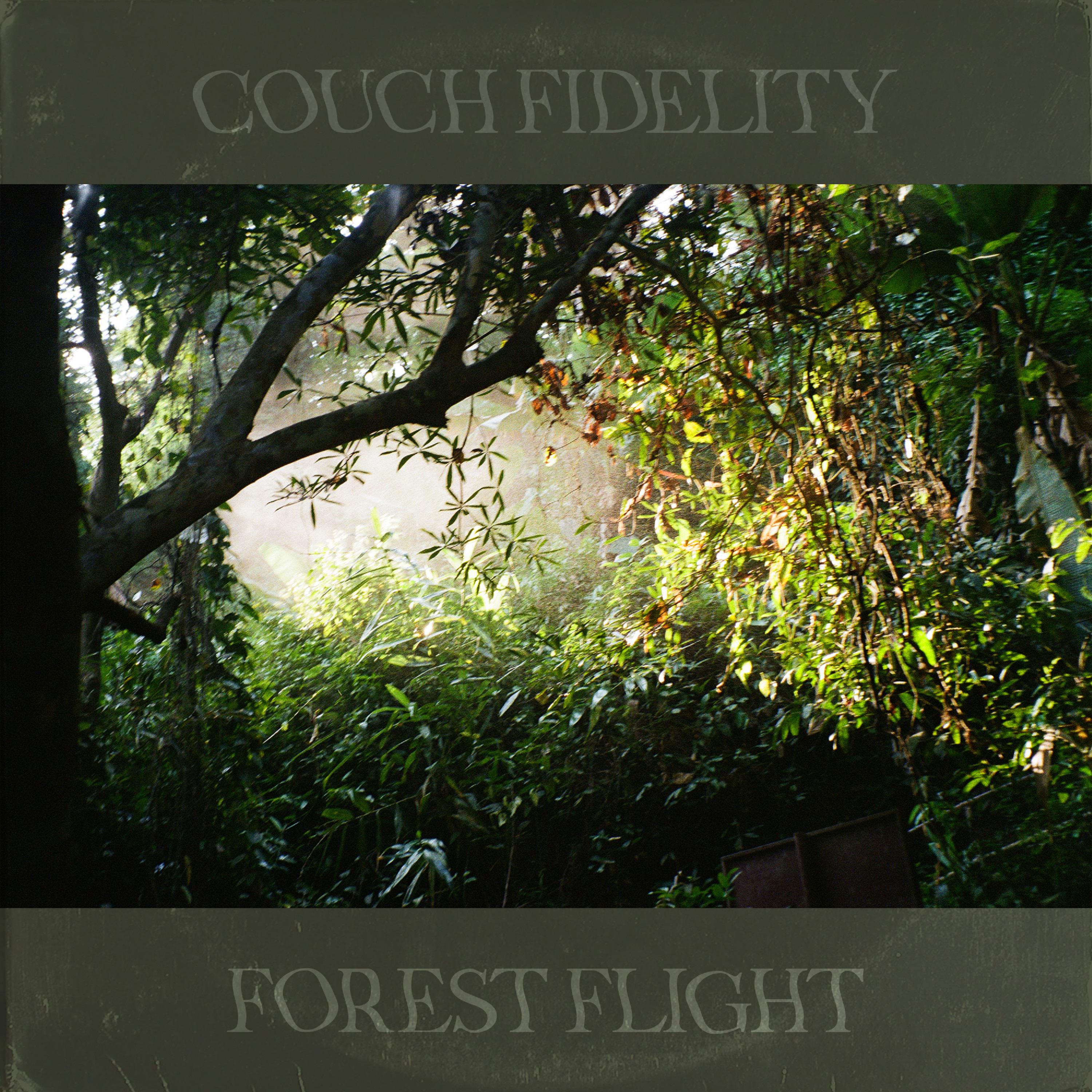 Постер альбома Forest Flight