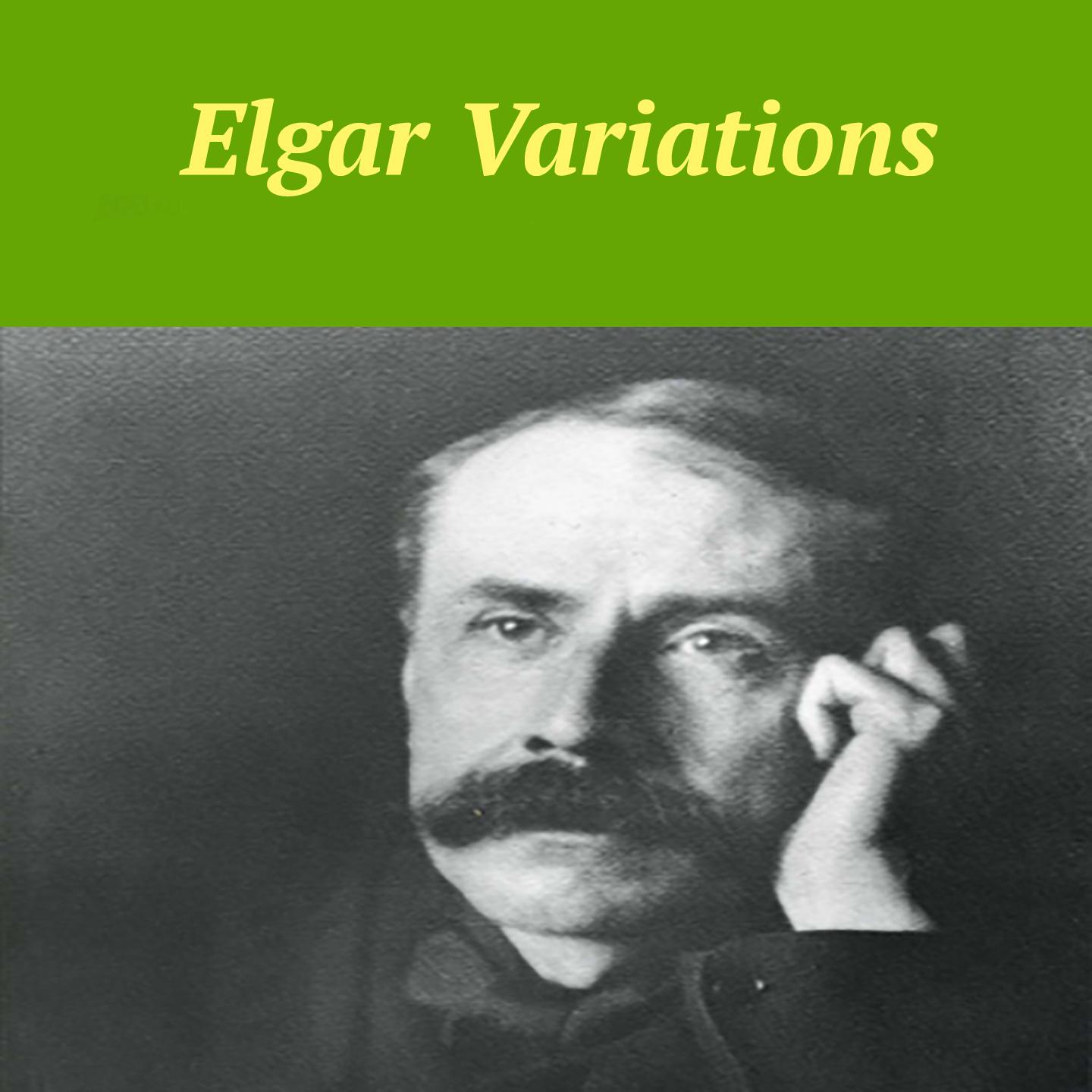 Постер альбома Elgar Variations