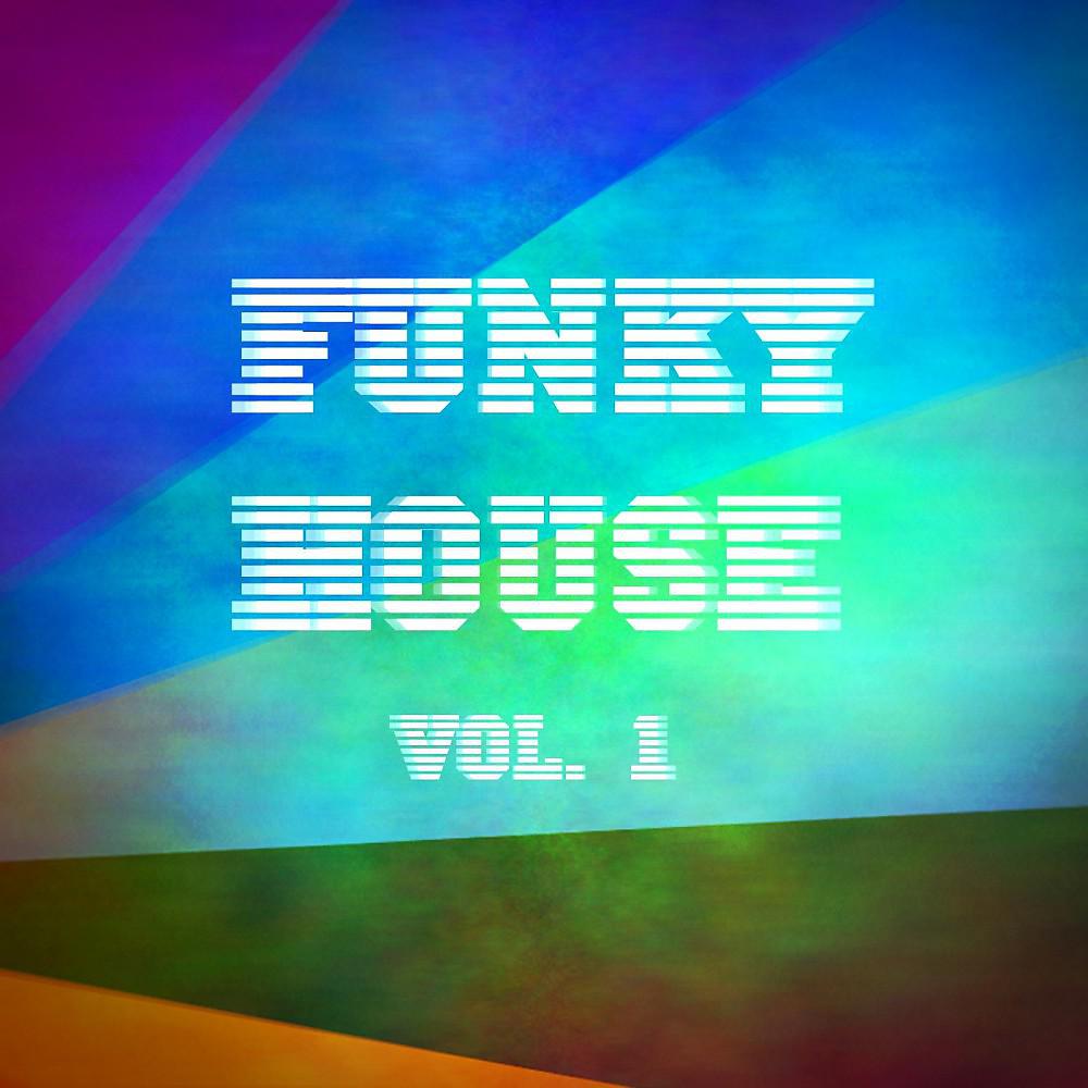 Постер альбома Funky House, Vol. 1