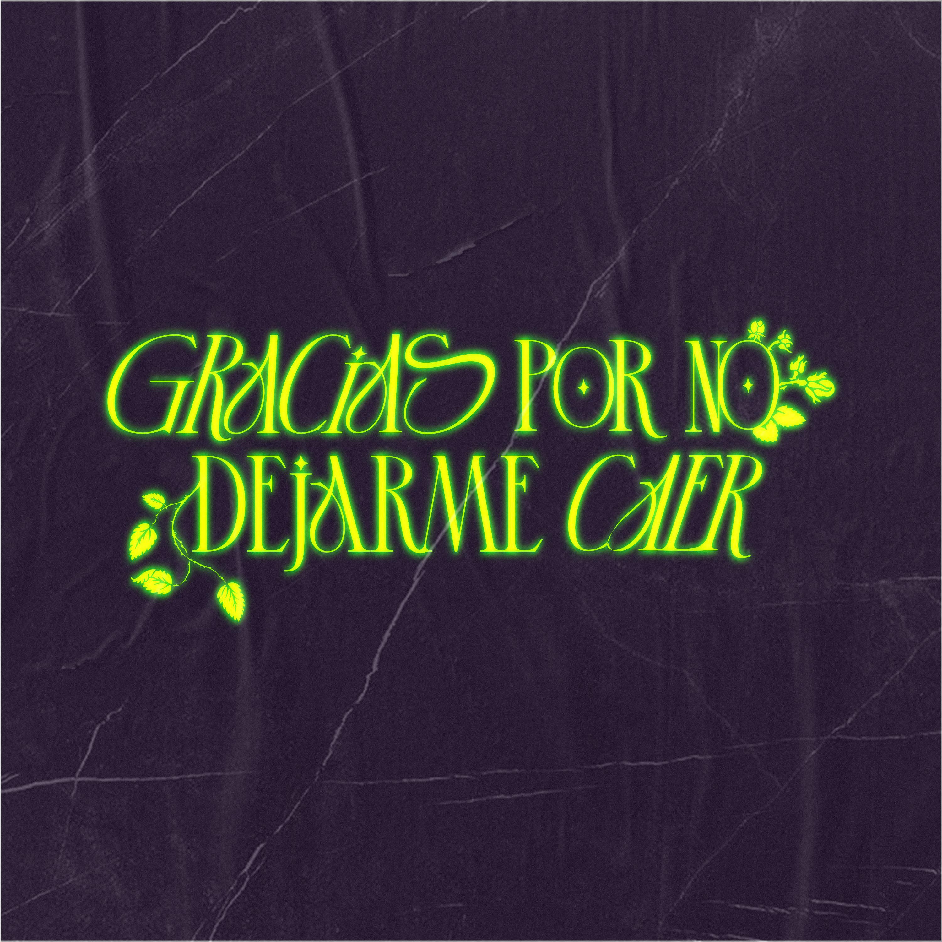 Постер альбома Gracias por No Dejarme Caer