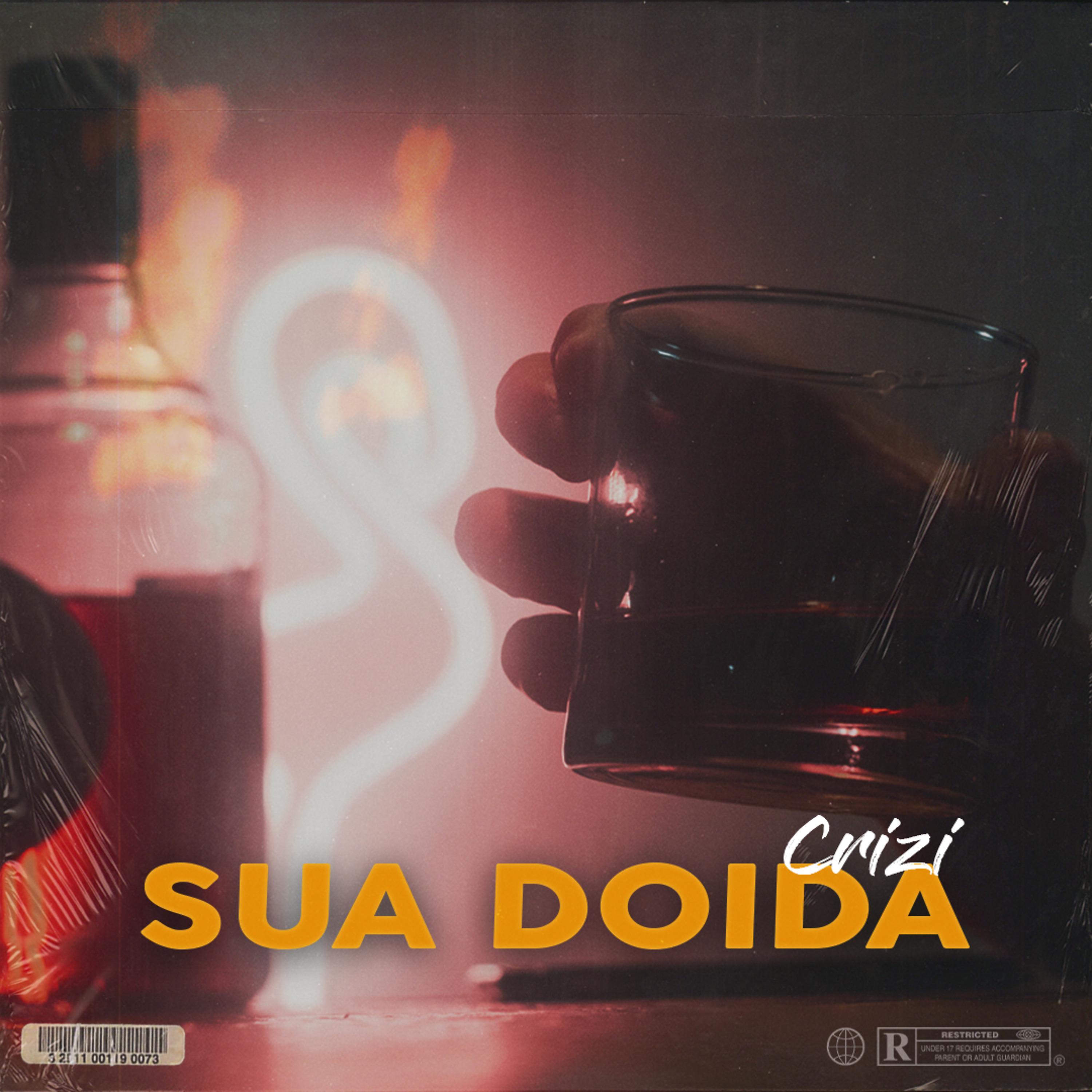 Постер альбома Sua Doida