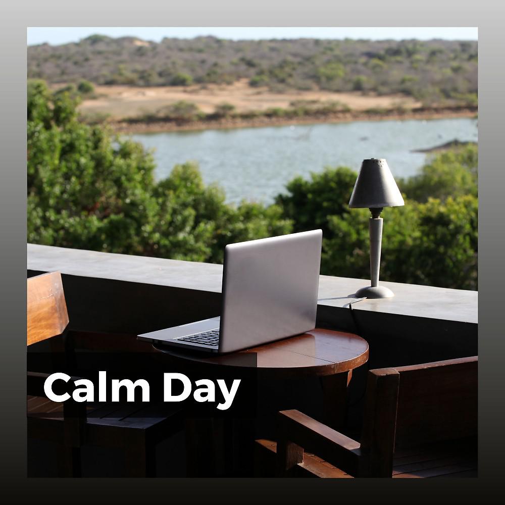 Постер альбома Calm Day