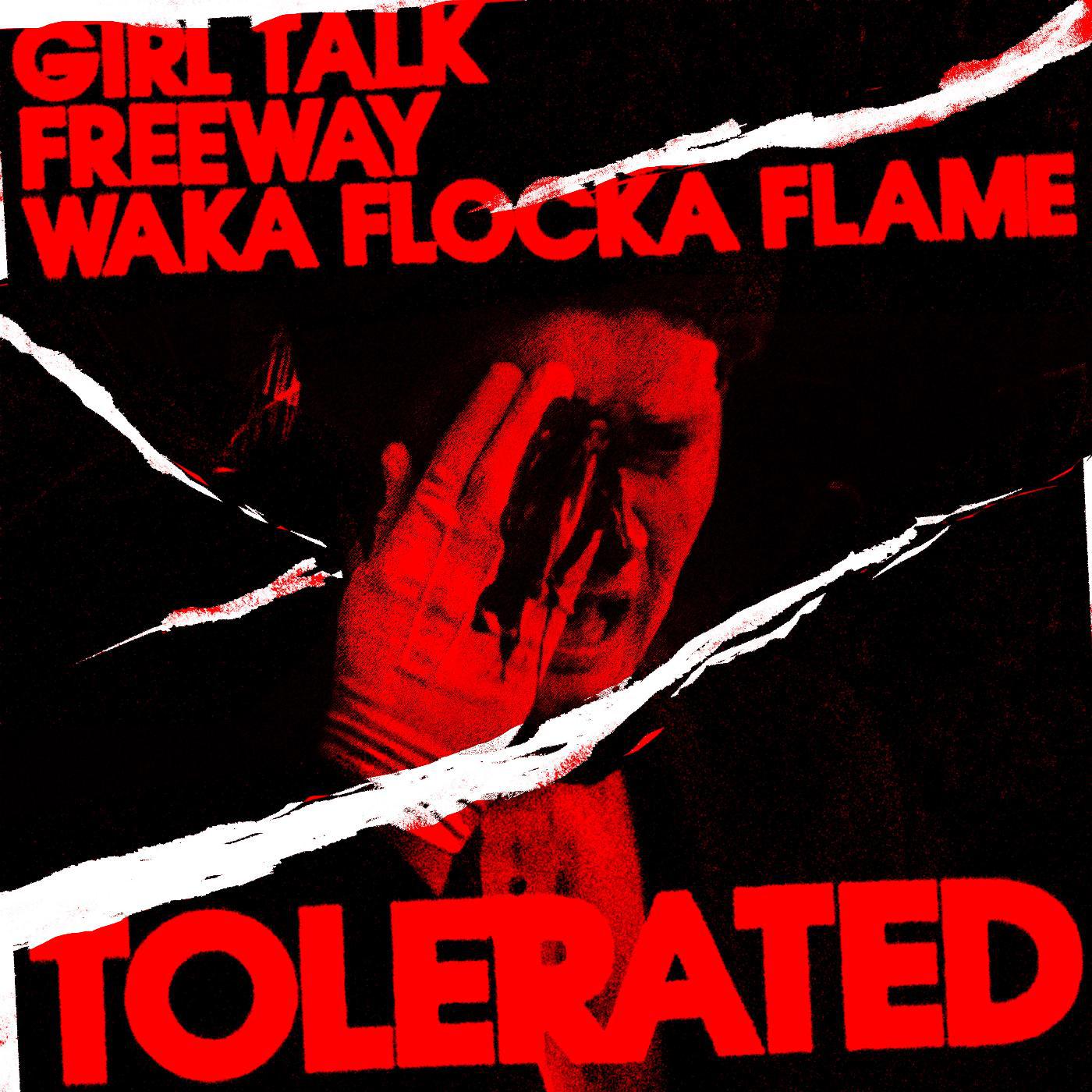 Постер альбома Tolerated (feat. Waka Flocka Flame)