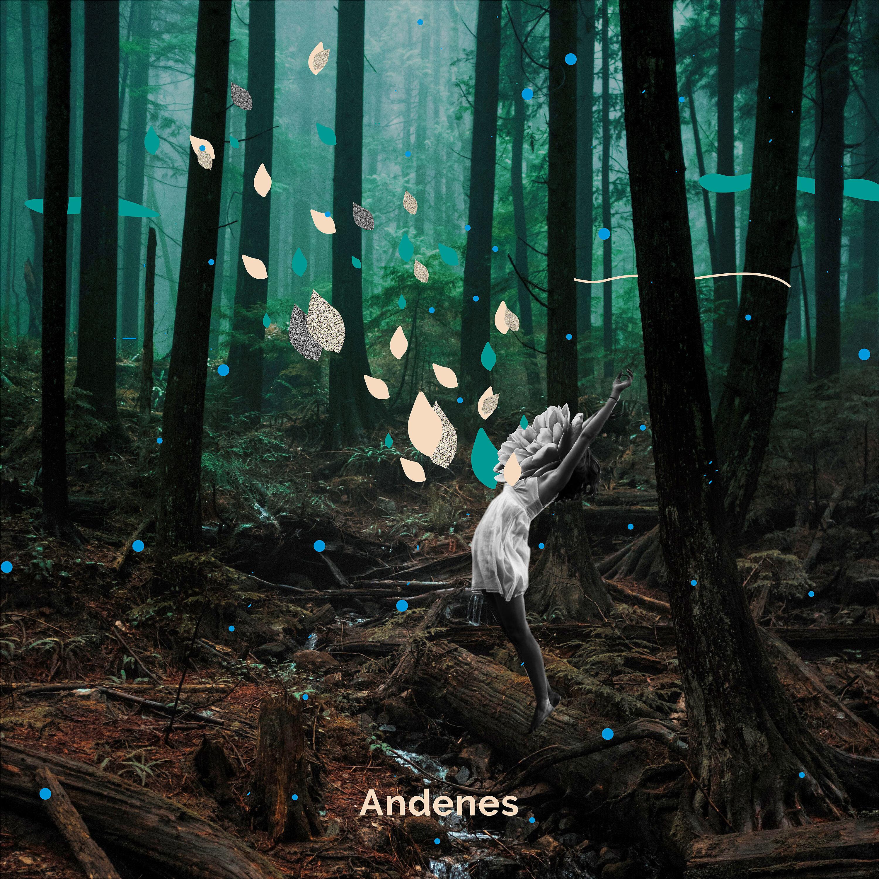 Постер альбома Andenes