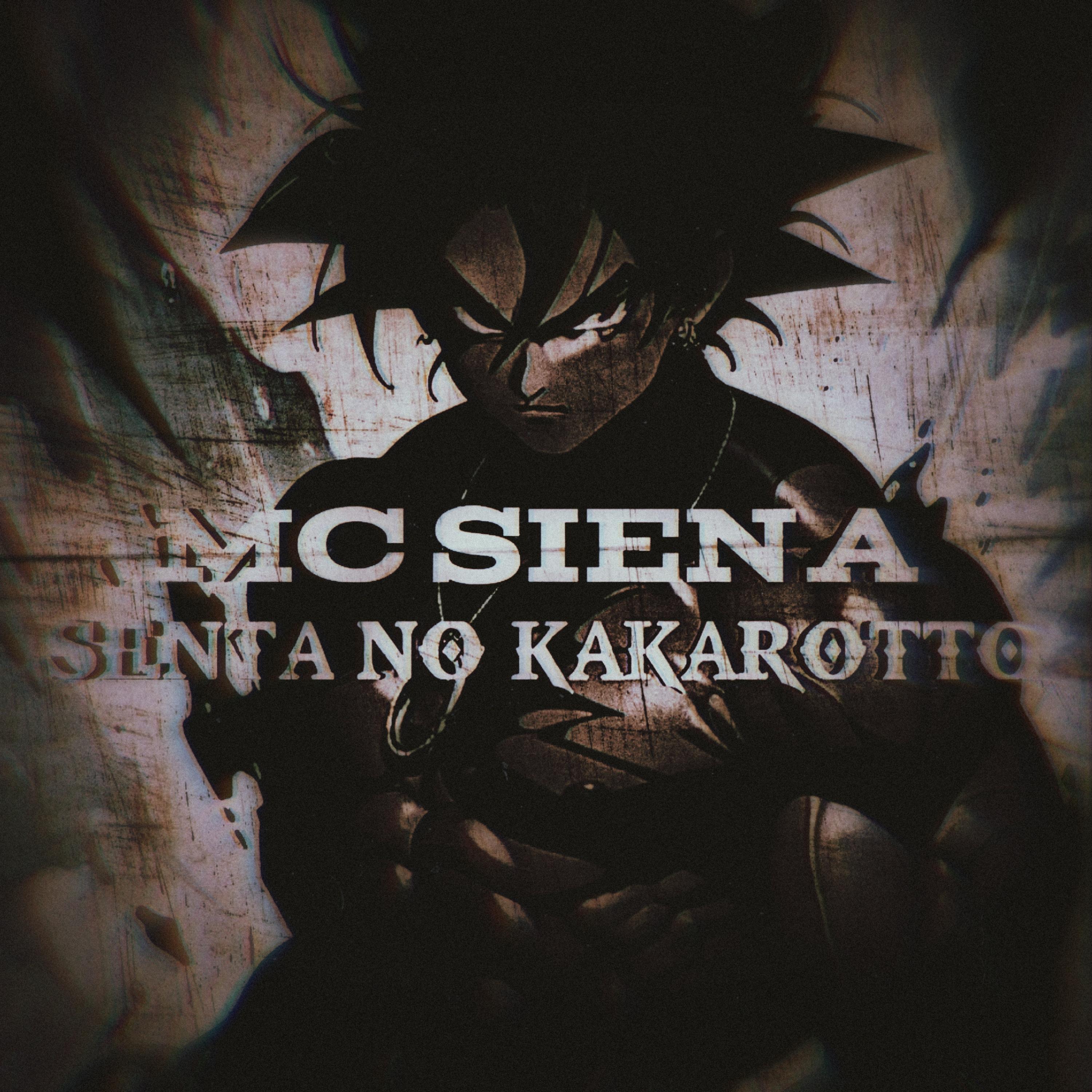 Постер альбома Senta no Kakarotto