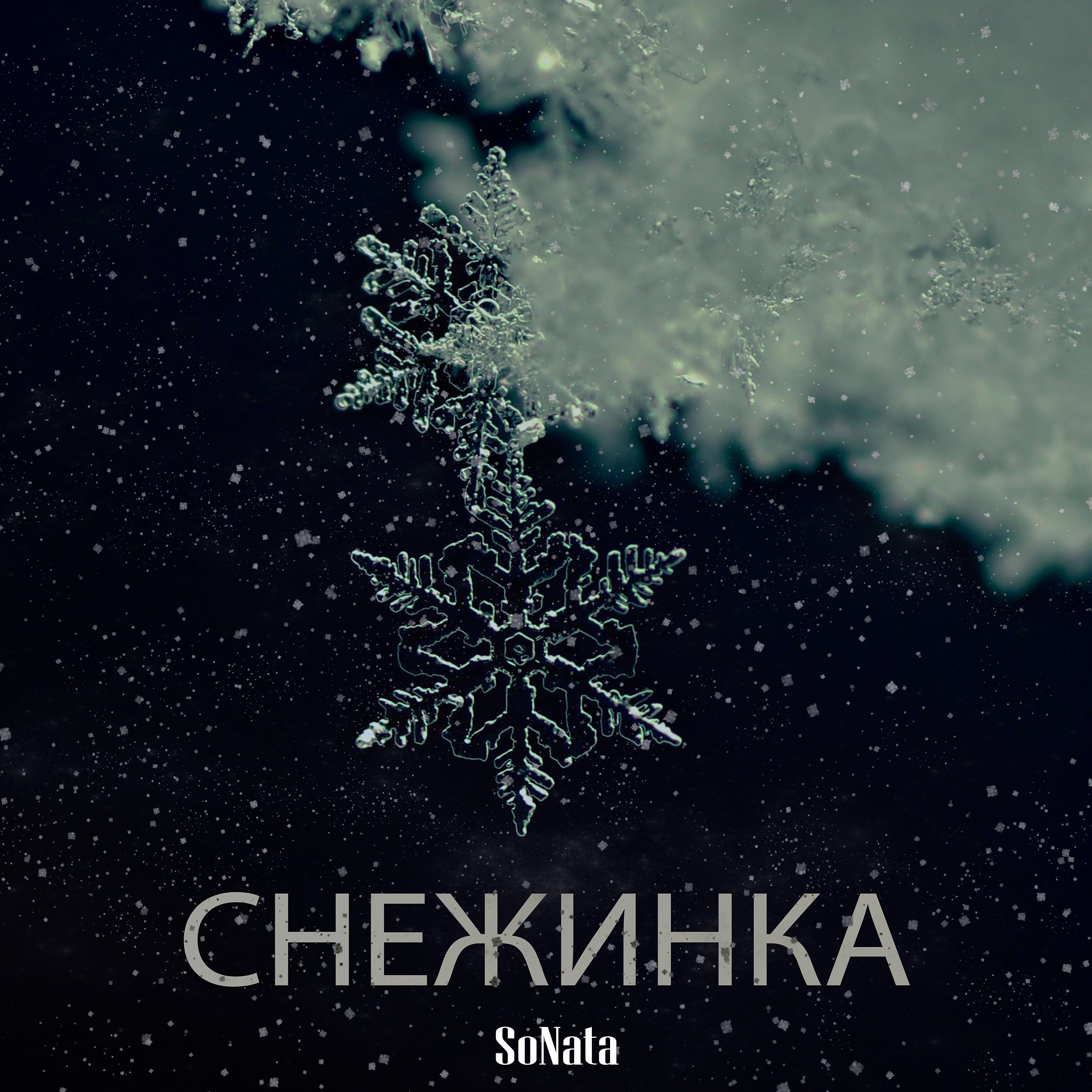 Постер альбома Снежинка