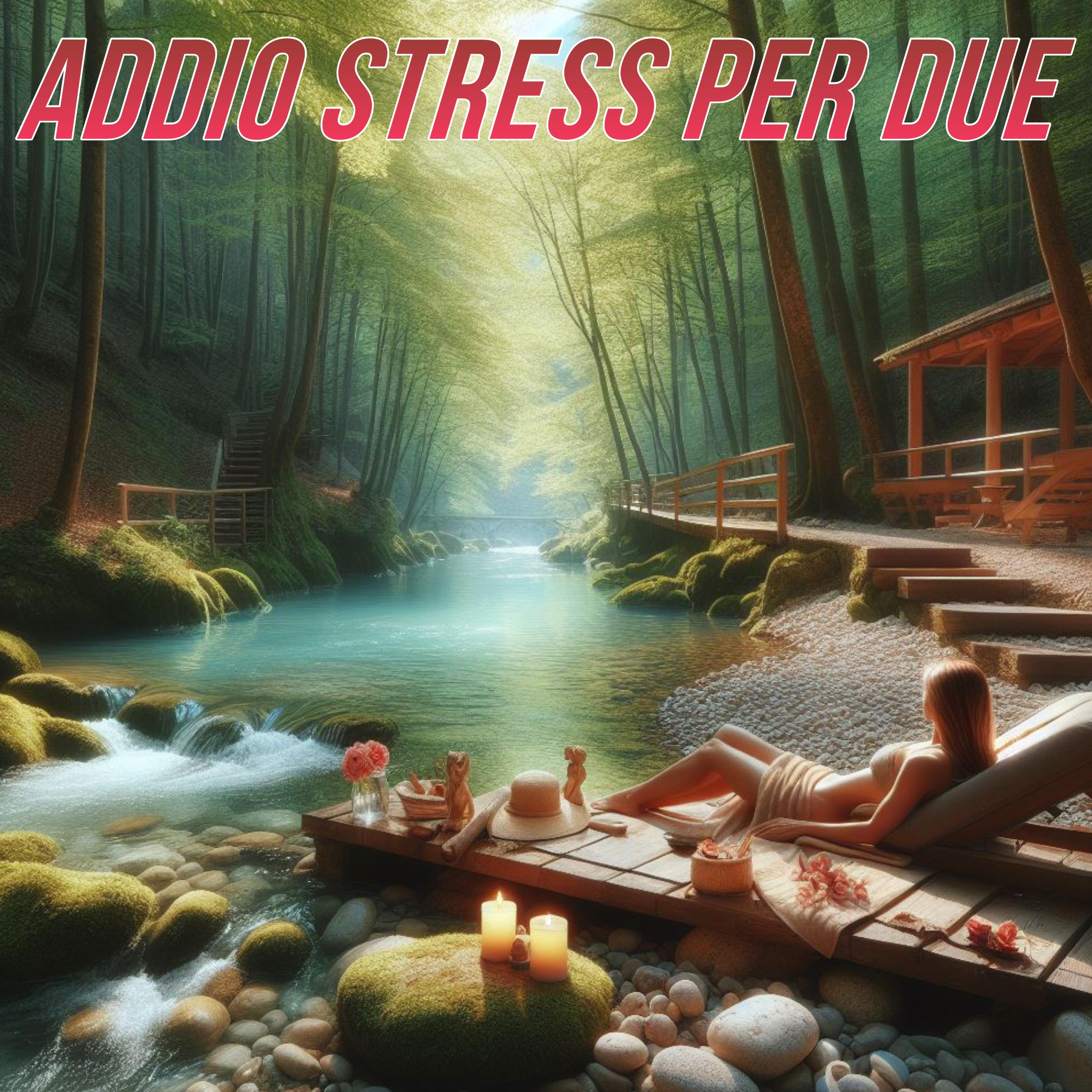 Постер альбома Addio Stress Per Due