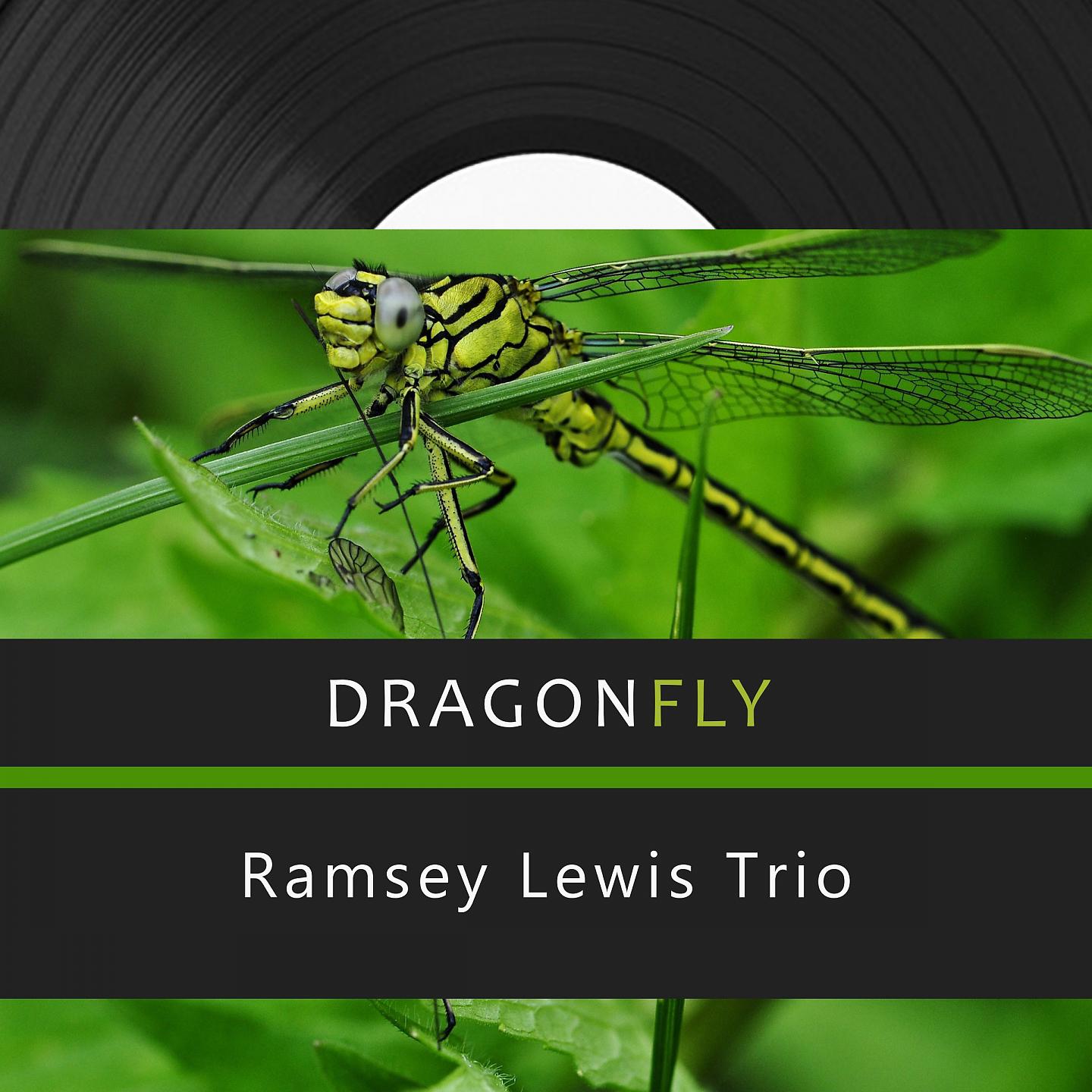 Постер альбома Dragonfly