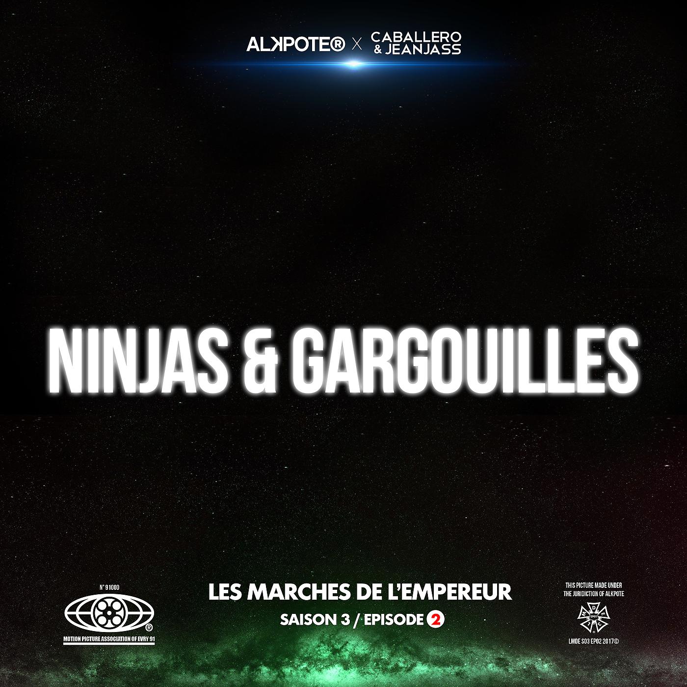 Постер альбома Ninjas et gargouilles