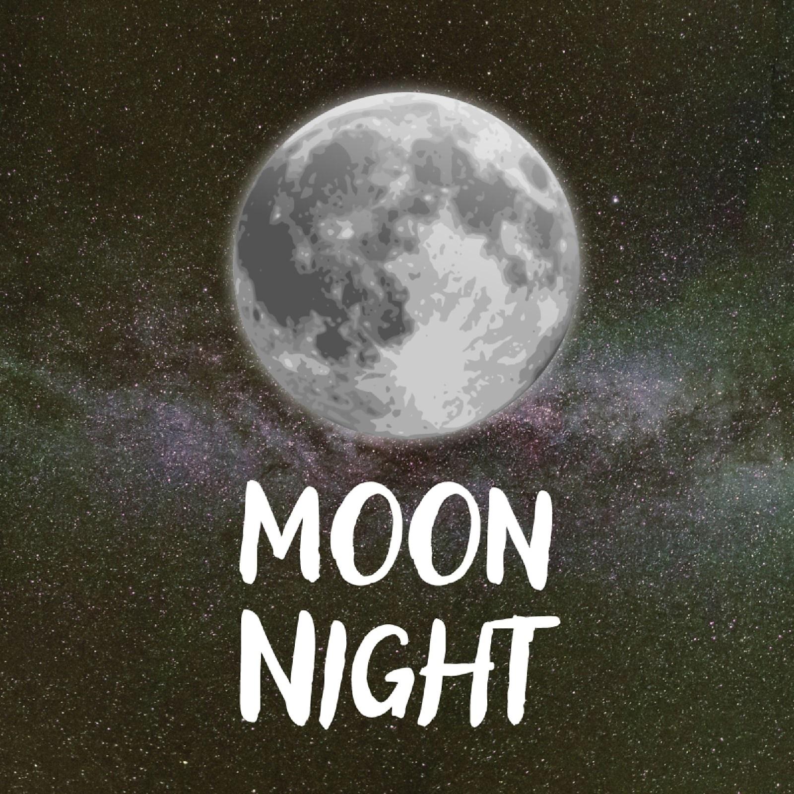 Постер альбома Moon Night