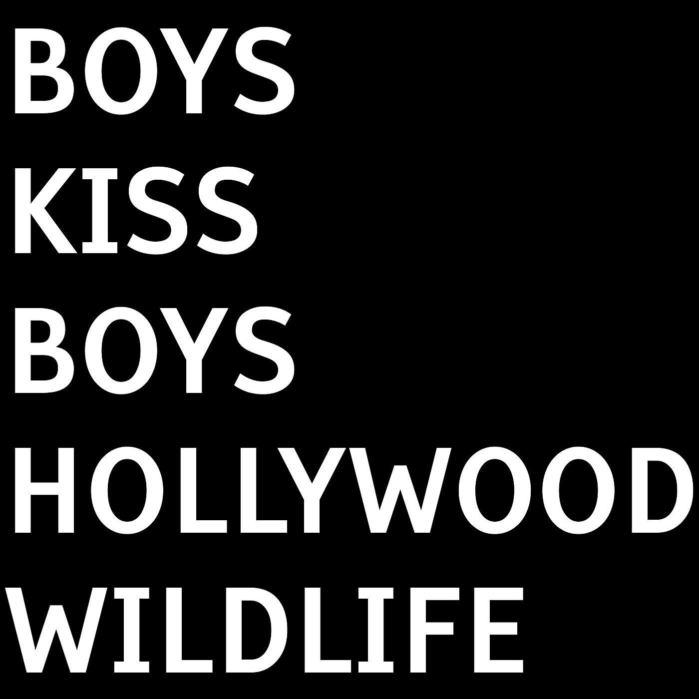 Постер альбома Boys Kiss Boys