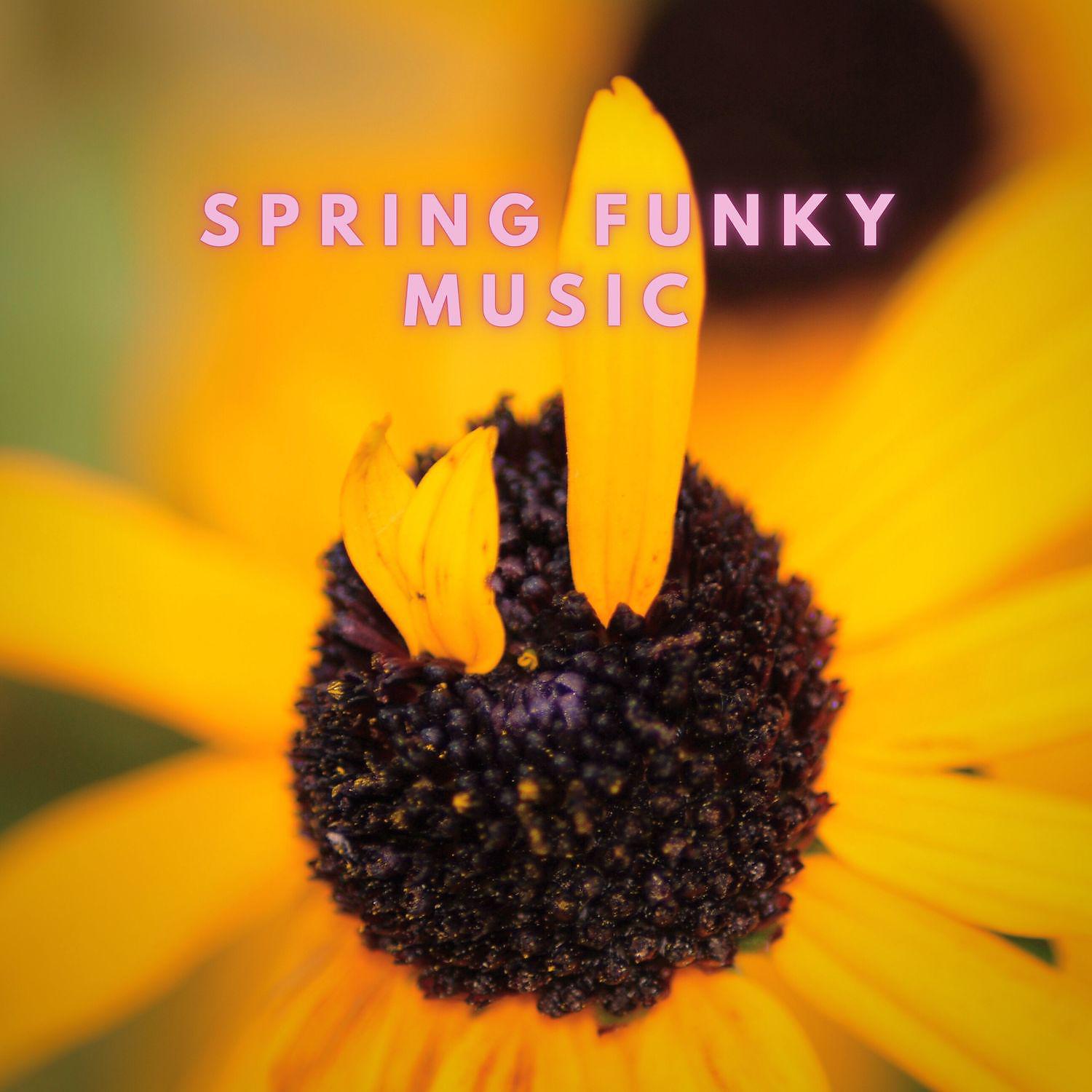 Постер альбома Spring Funky Music