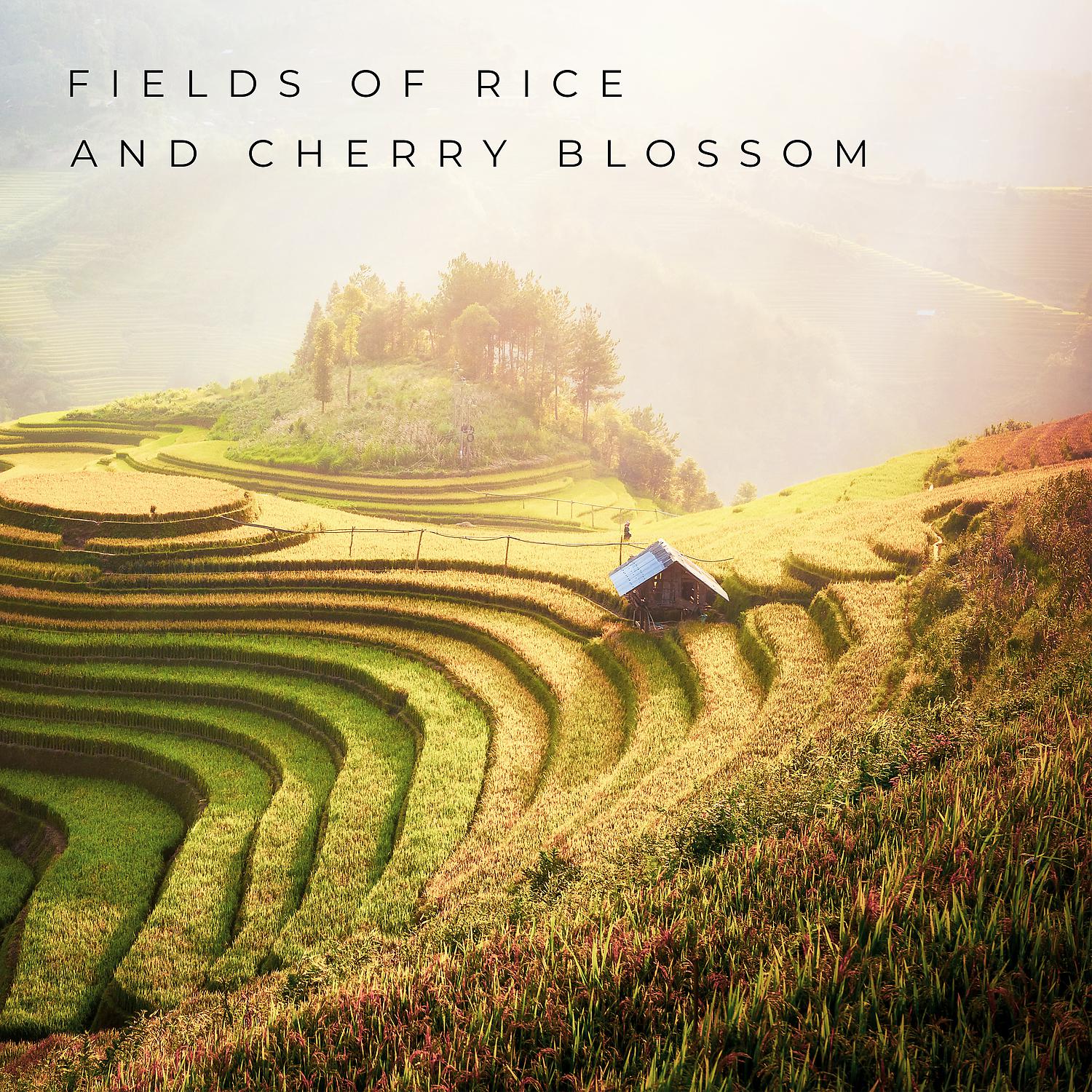 Постер альбома Fields of Rice and Cherry Blossom