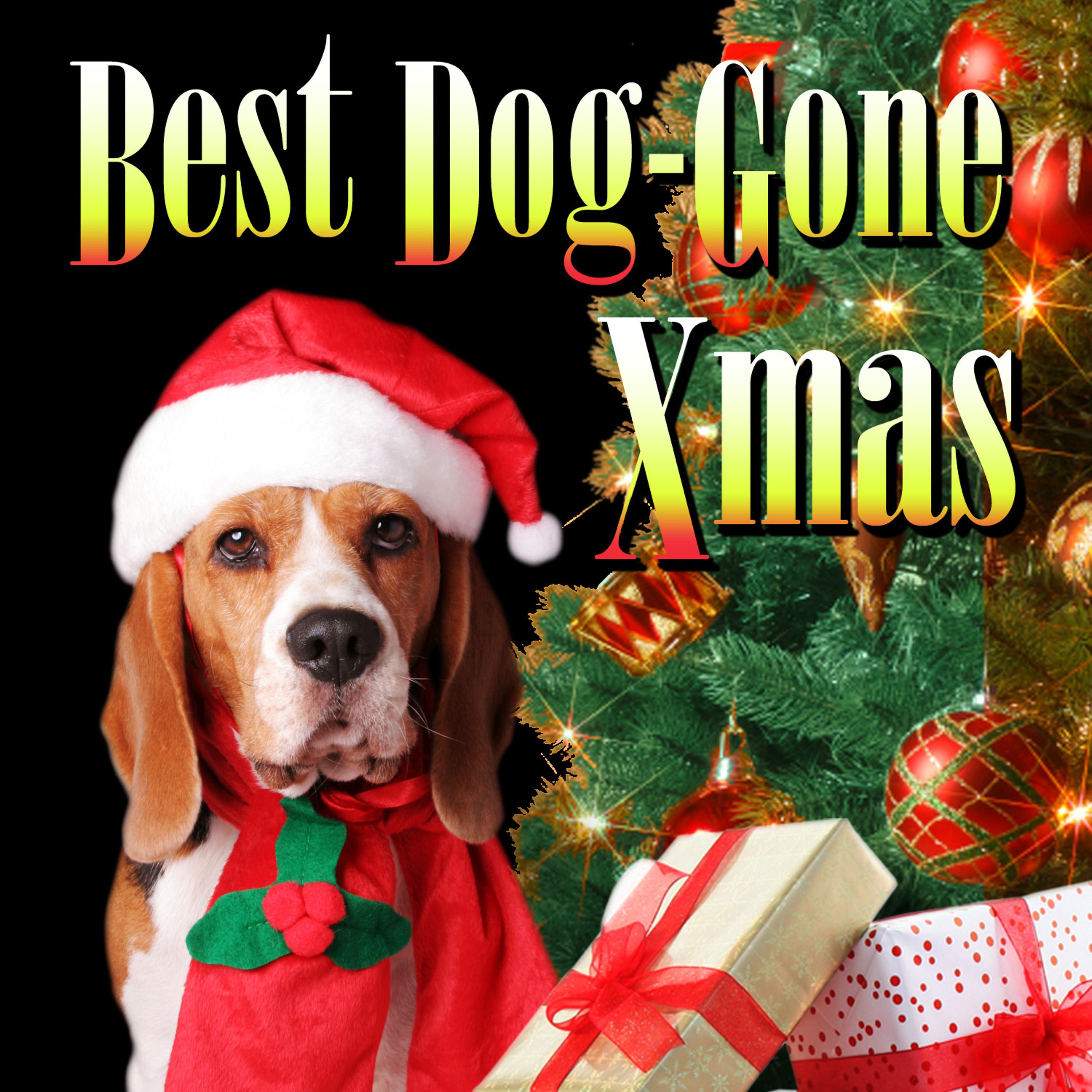 Постер альбома Best Dog Gone Xmas
