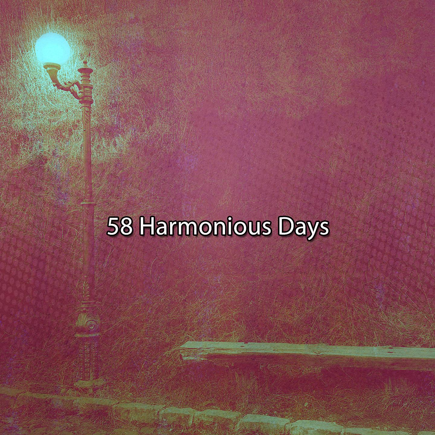 Постер альбома 58 Гармоничных дней