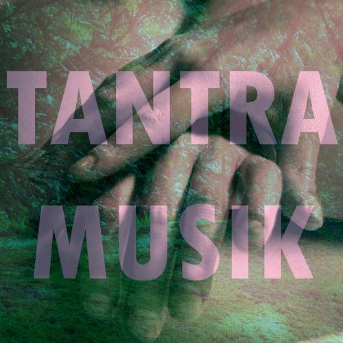 Постер альбома Tantra Musik