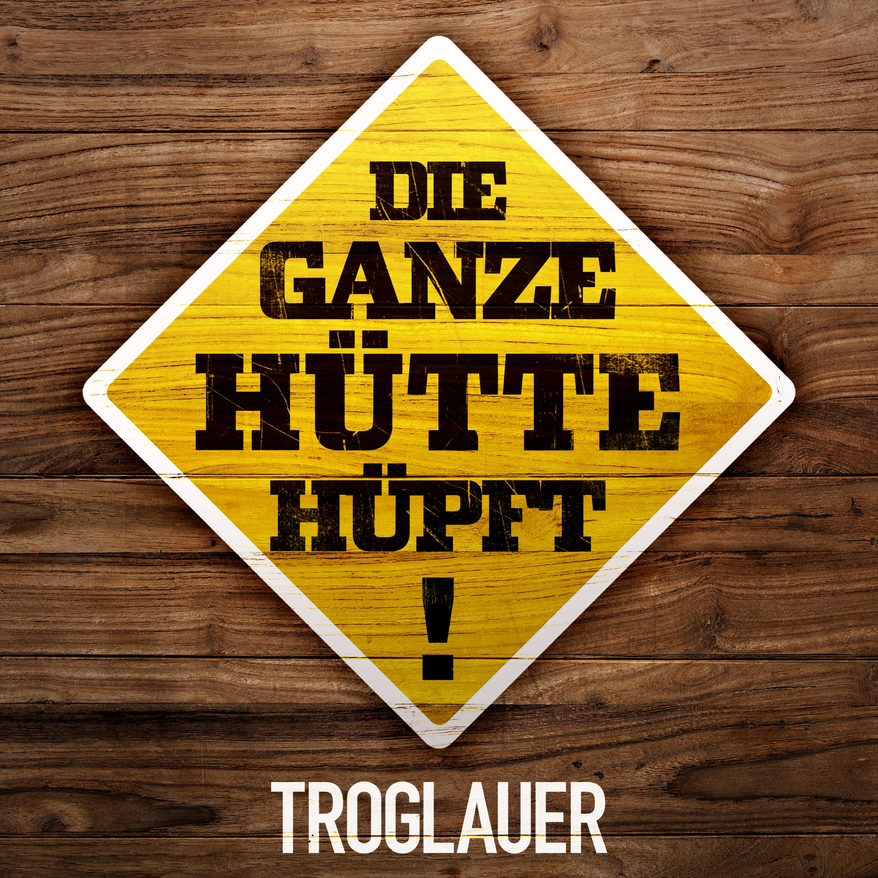 Постер альбома Die ganze Hütte hüpft