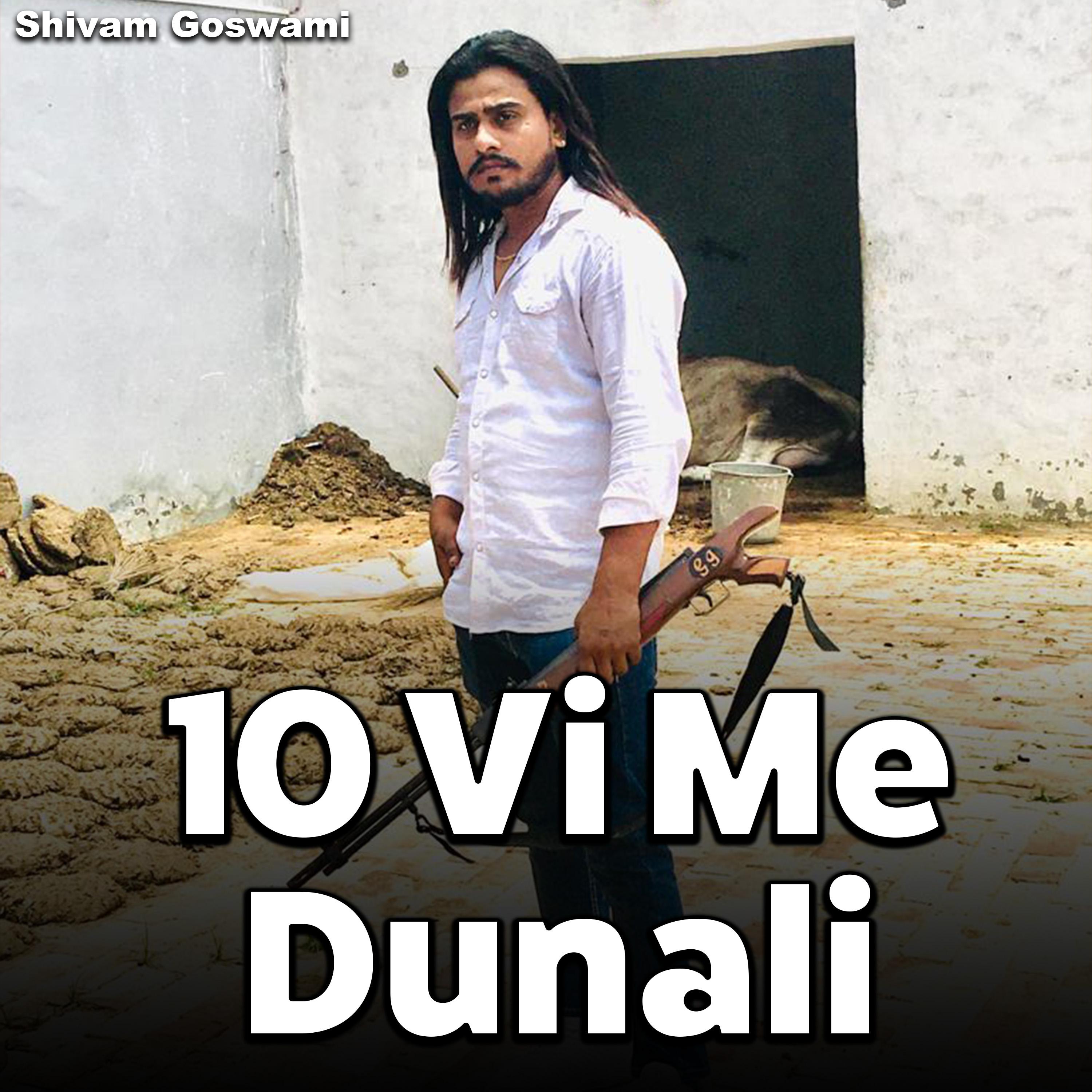 Постер альбома 10 Vi Me Dunali