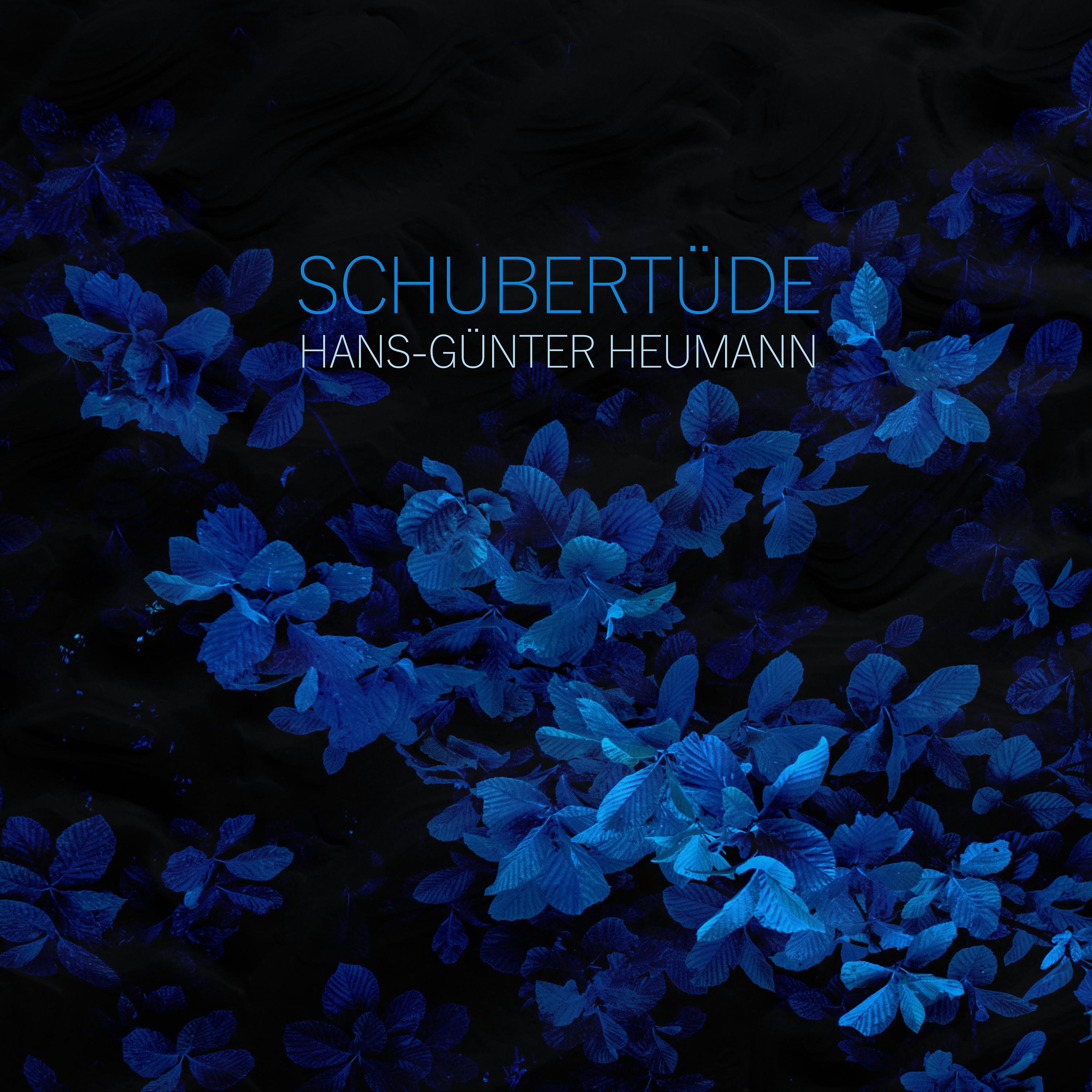 Постер альбома Schubertüde (nach einem Thema von Franz Schubert)