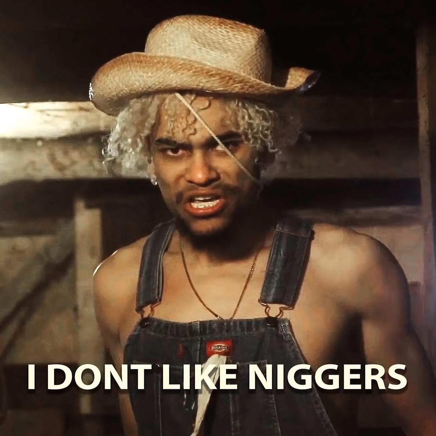 Постер альбома I Don't Like Niggers