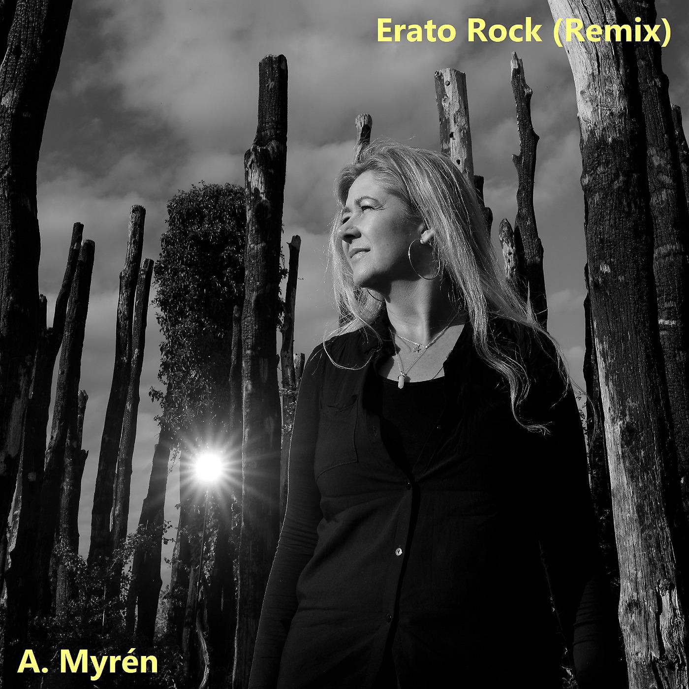 Постер альбома Erato Rock (Remix)