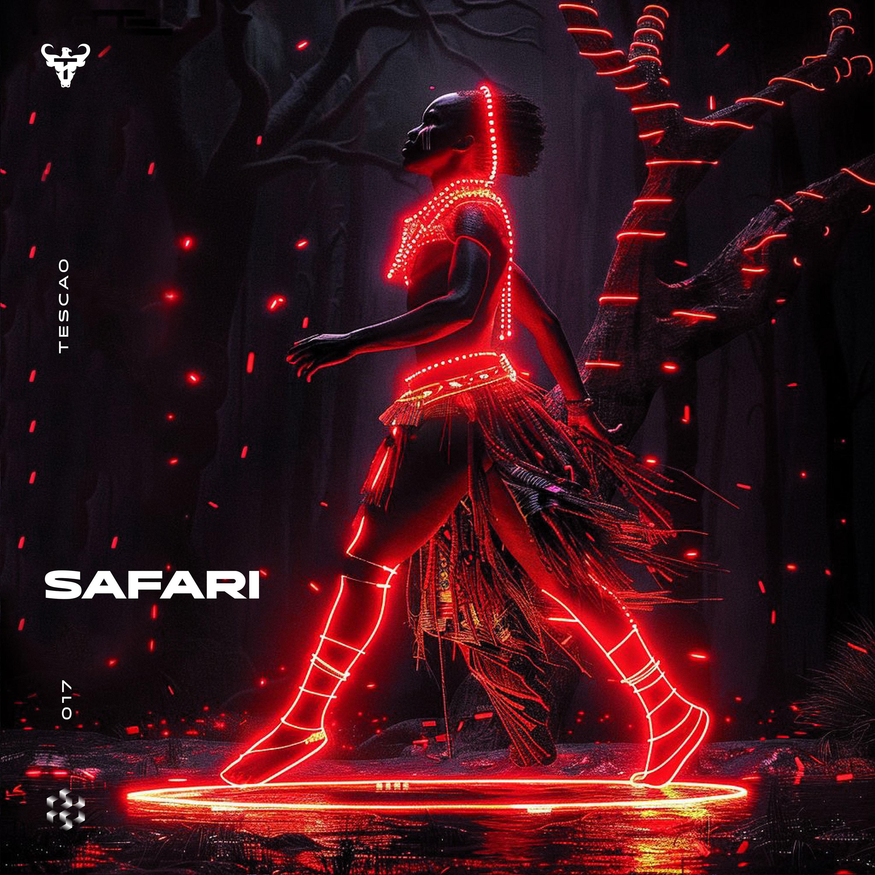 Постер альбома Safari