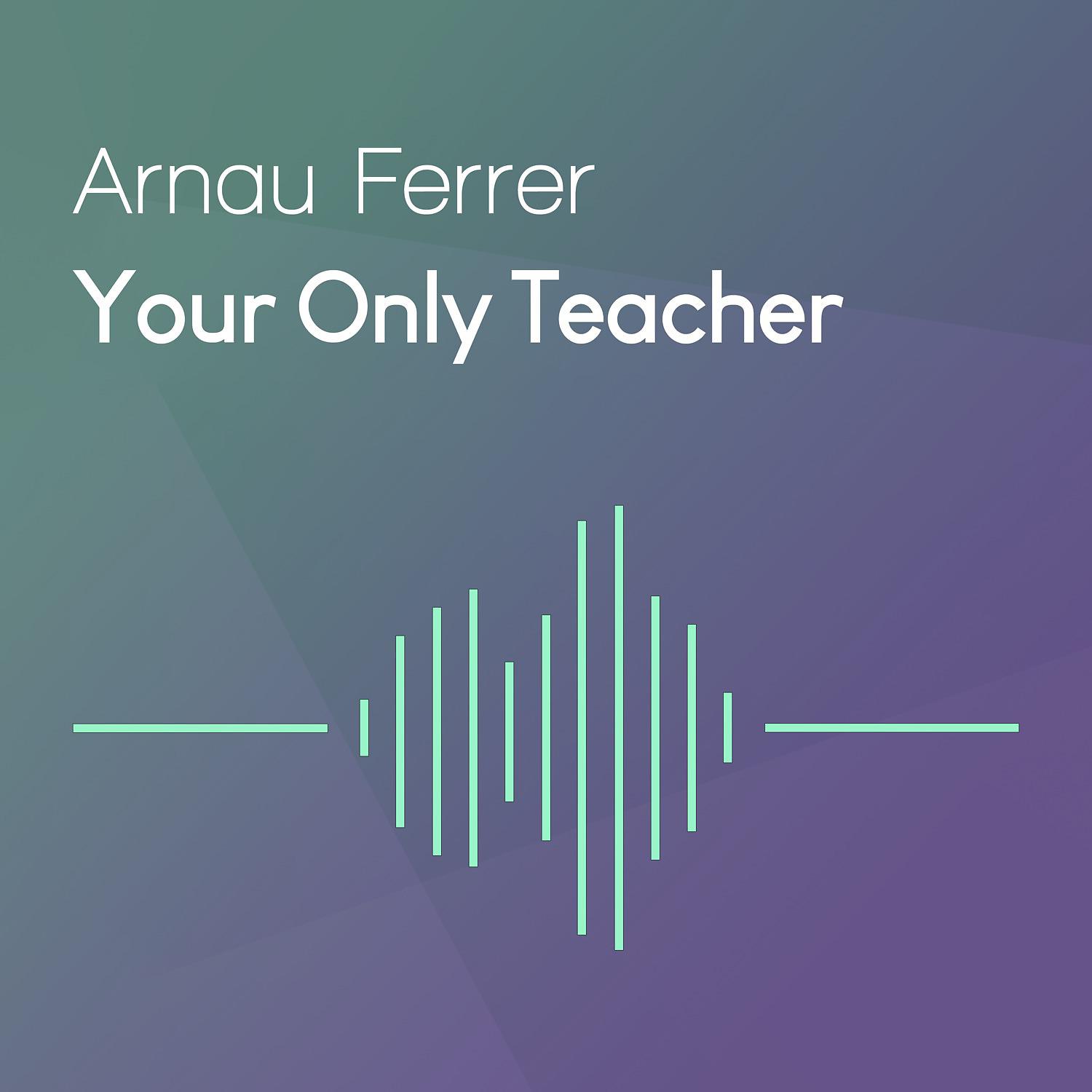 Постер альбома Your Only Teacher