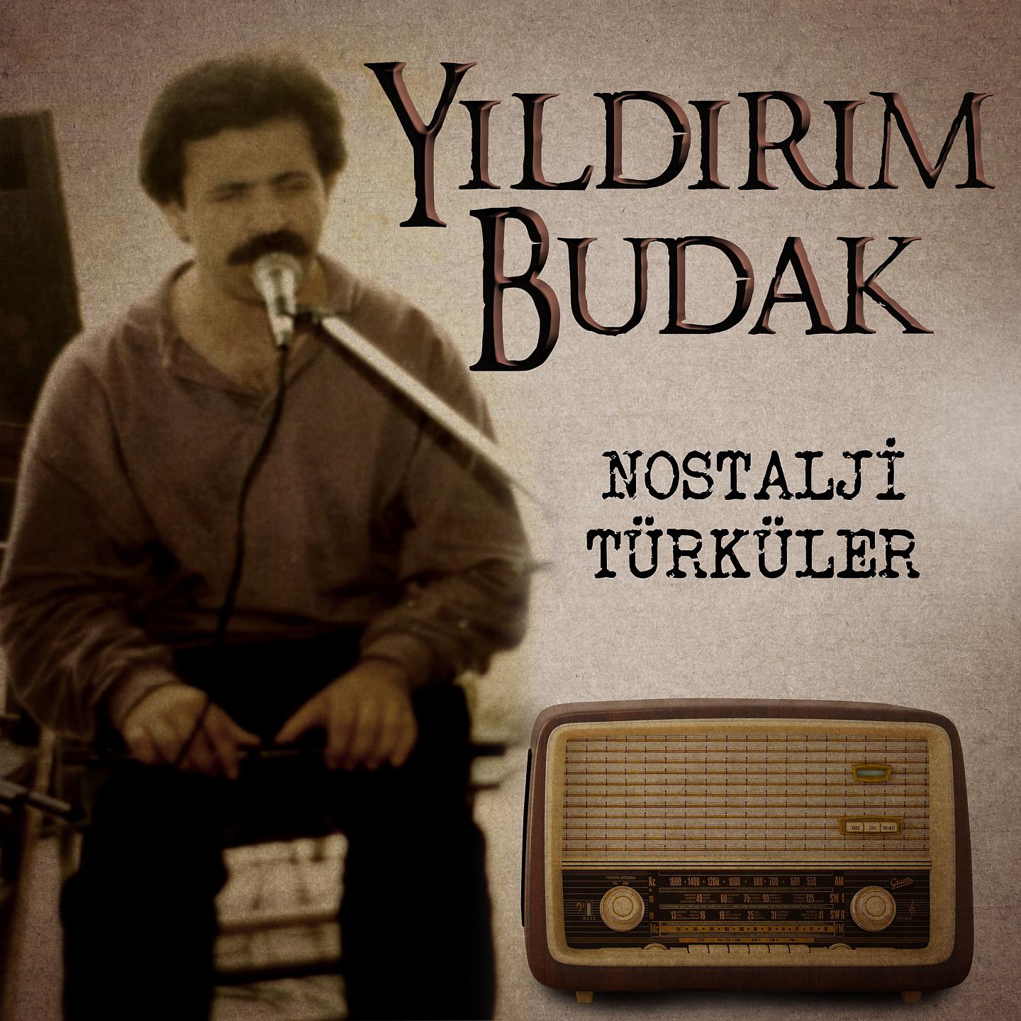 Постер альбома Nostalji Türküler