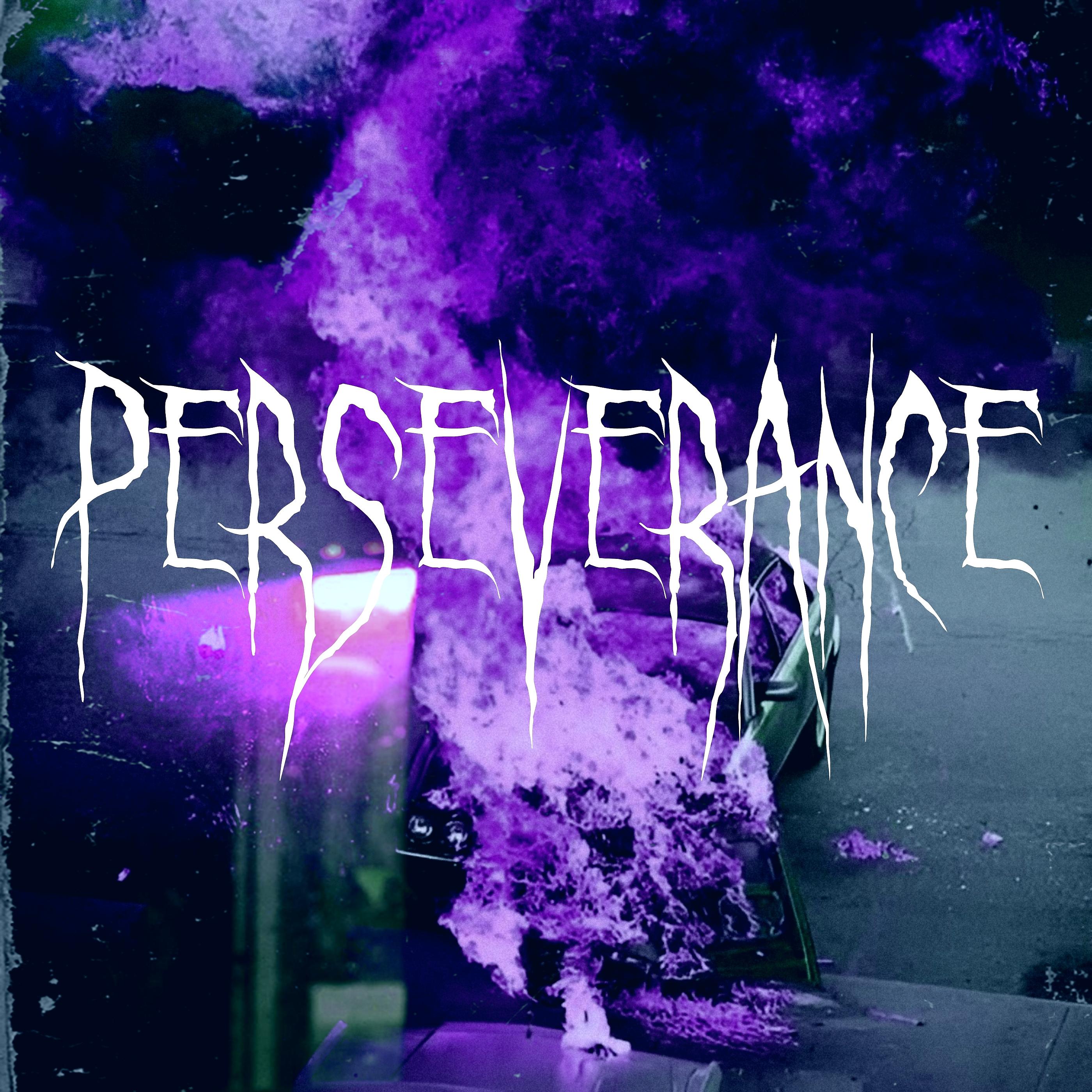 Постер альбома Perseverance
