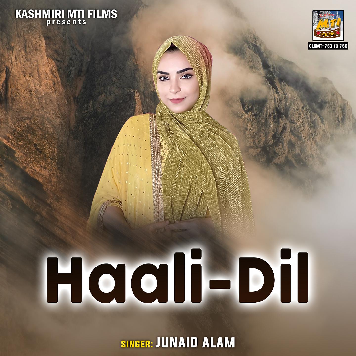 Постер альбома Haali-Dil