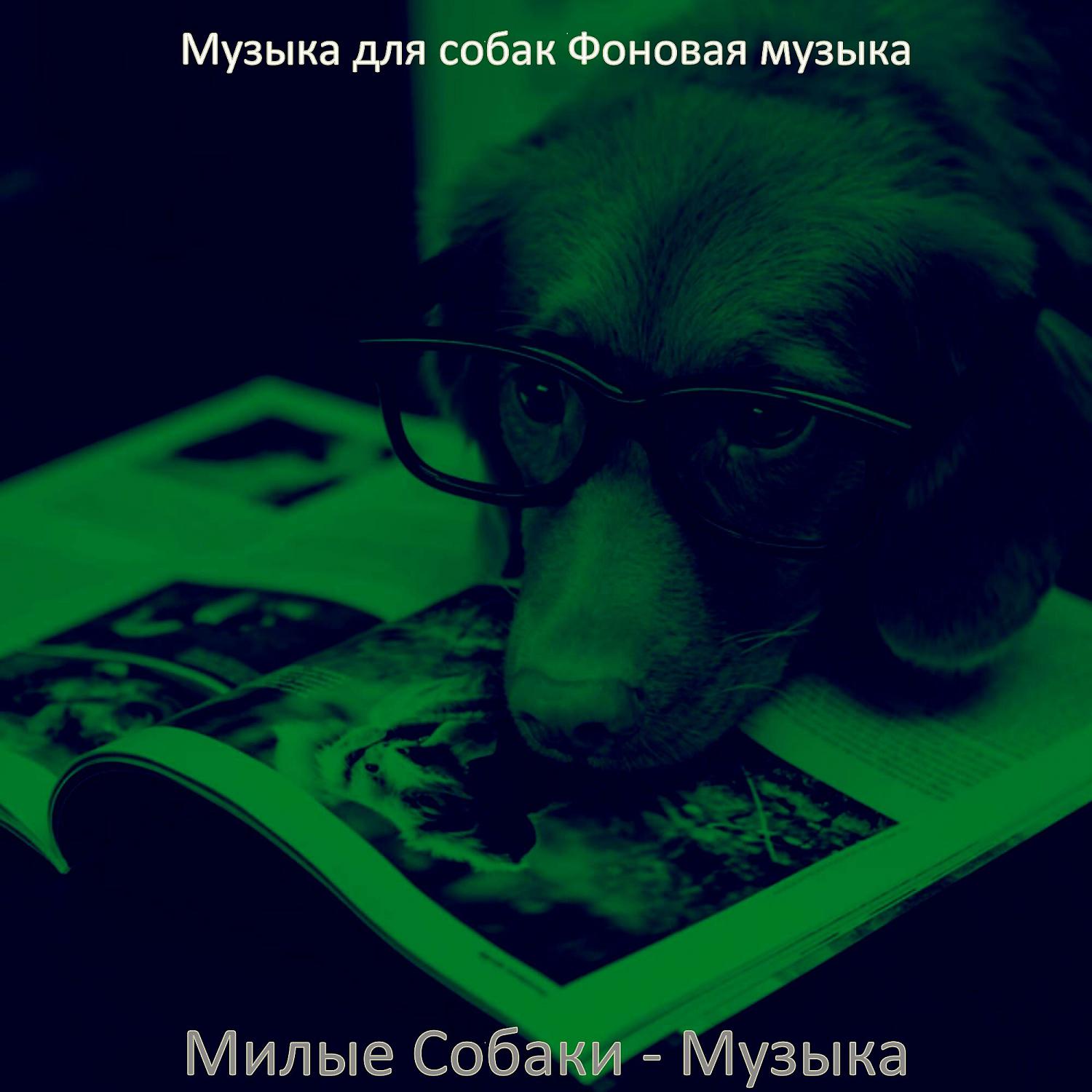Постер альбома Милые Собаки - Музыка