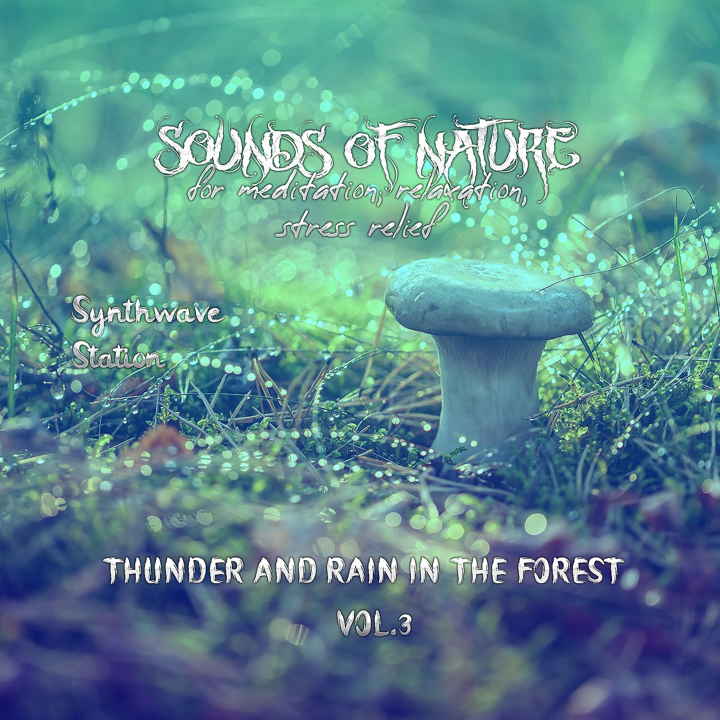 Постер альбома Sounds of Nature - Thunder and Rain in the Forest for Meditaion, Relaxation, Stress Relief, Vol. 3