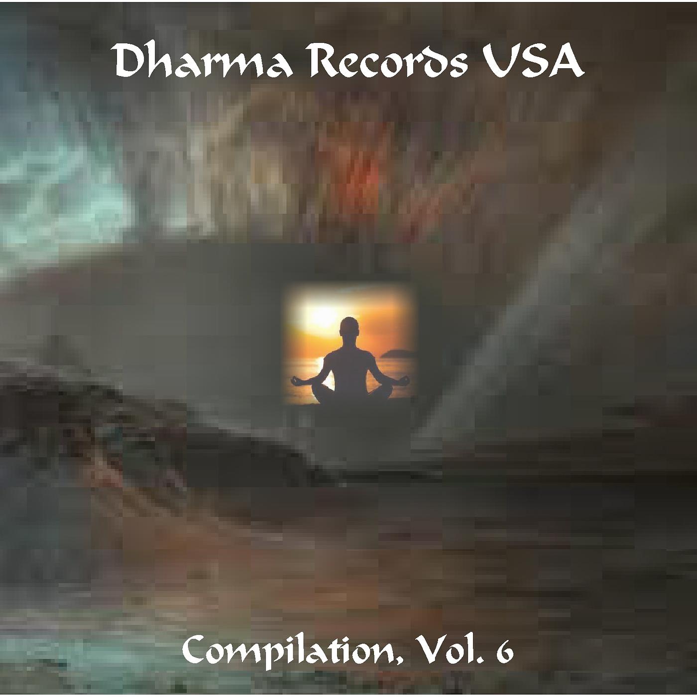 Постер альбома Dharma Records Usa Compilation, Vol. 6