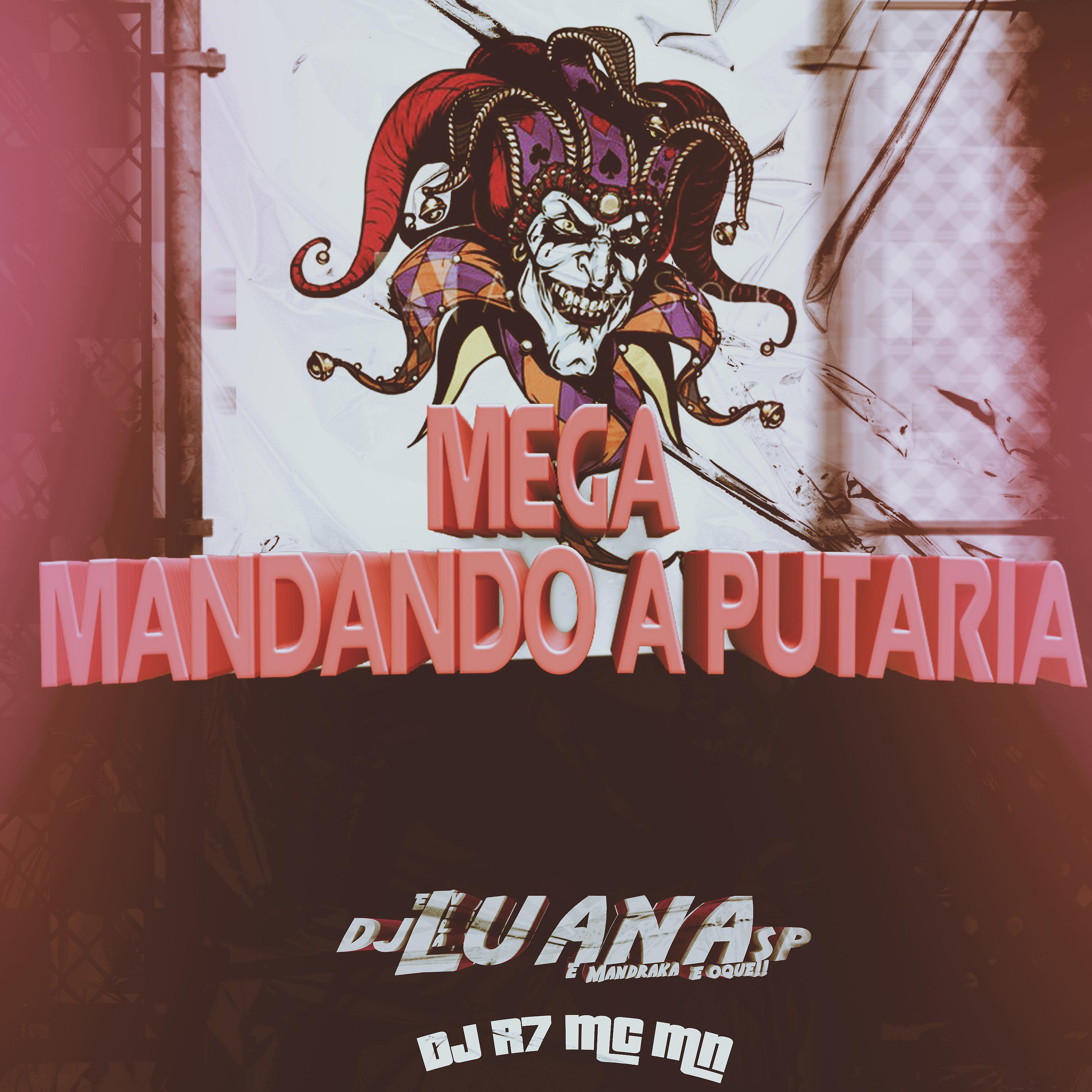 Постер альбома Mega Mandando a Putaria