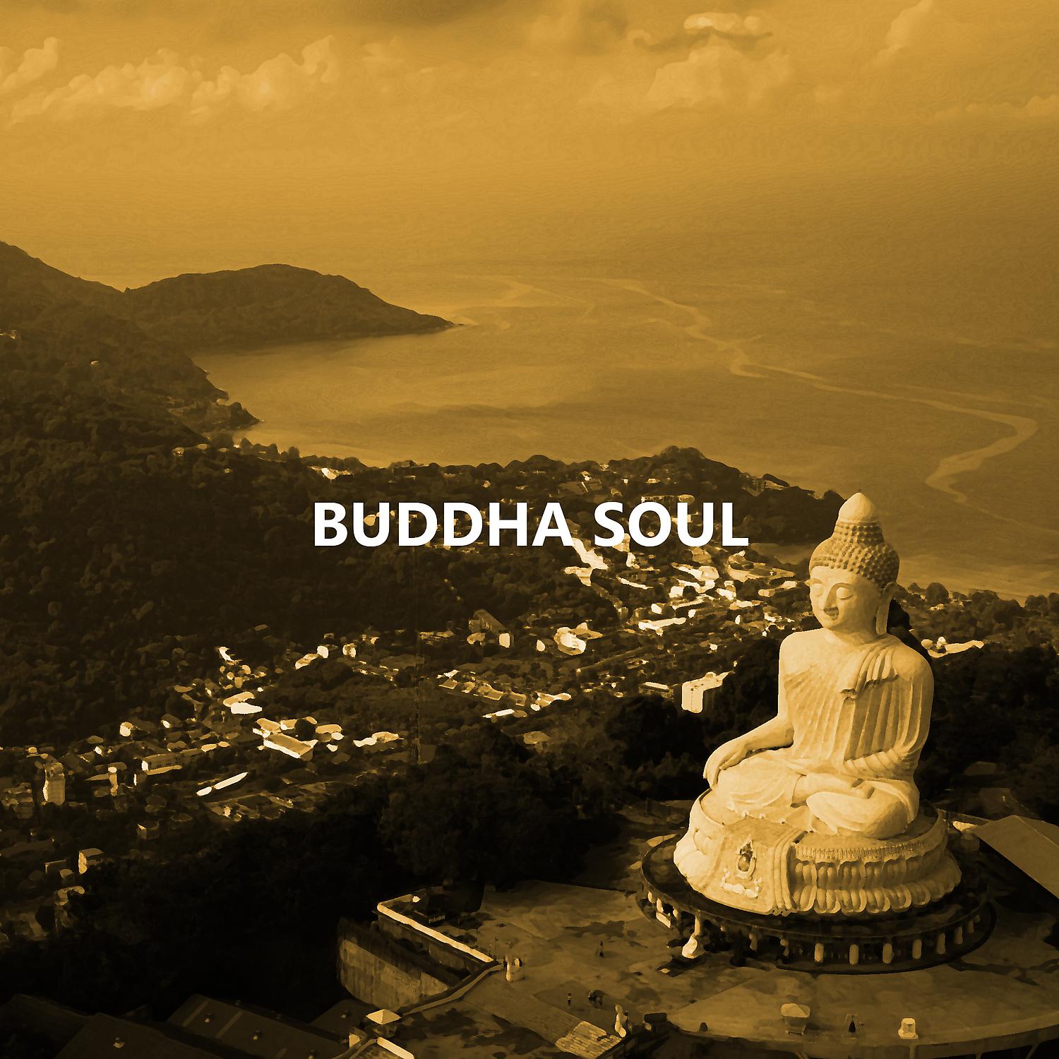 Постер альбома Buddha Soul: Relax and Meditation, Awaken Your Mind, Yoga Music