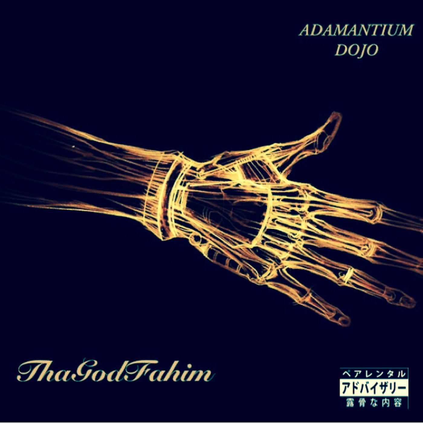 Постер альбома Adamantium Dojo