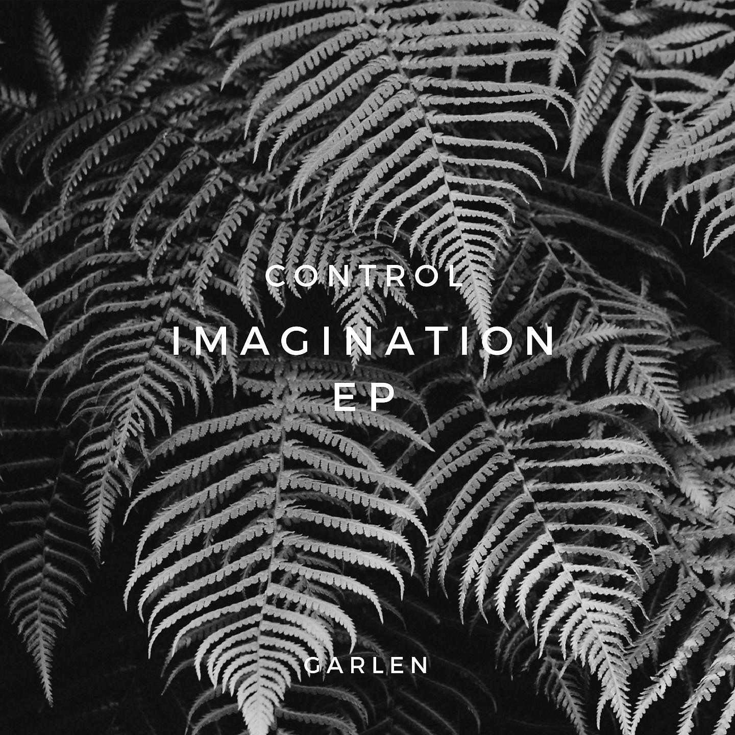 Постер альбома Control Imagination