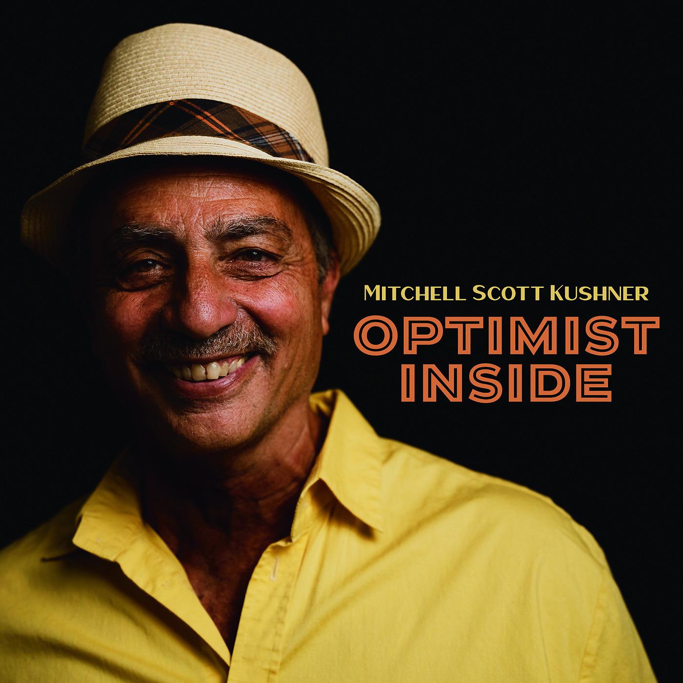 Постер альбома Optimist Inside
